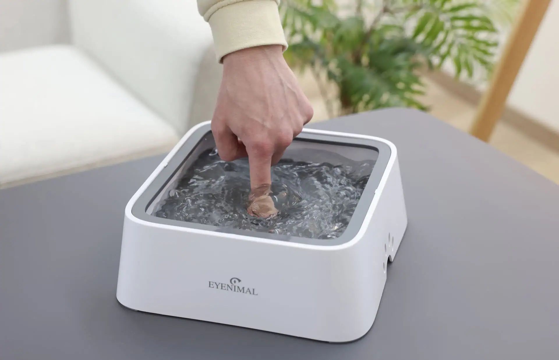 Eyenimal Hydra200 Leak-Proof Pet Water Bowl, 2 Litres, in use, held in hand