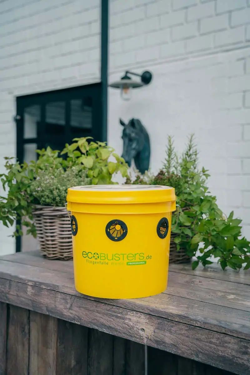 EcoBusters Flugfälla Willow Set inkl. lockmedel, användningsexempel