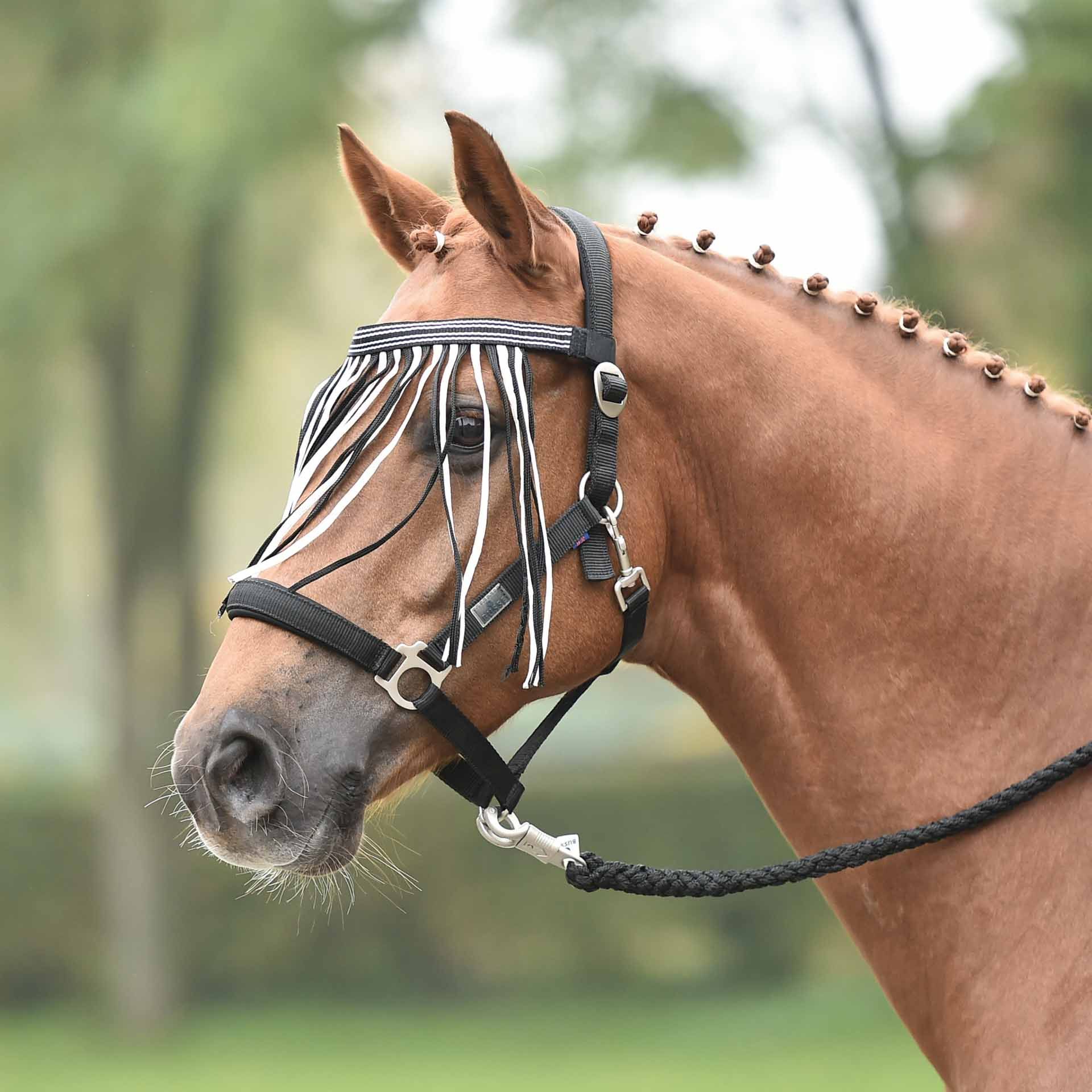 BUSSE Fliegenkordelband VISBY Pony black/white
