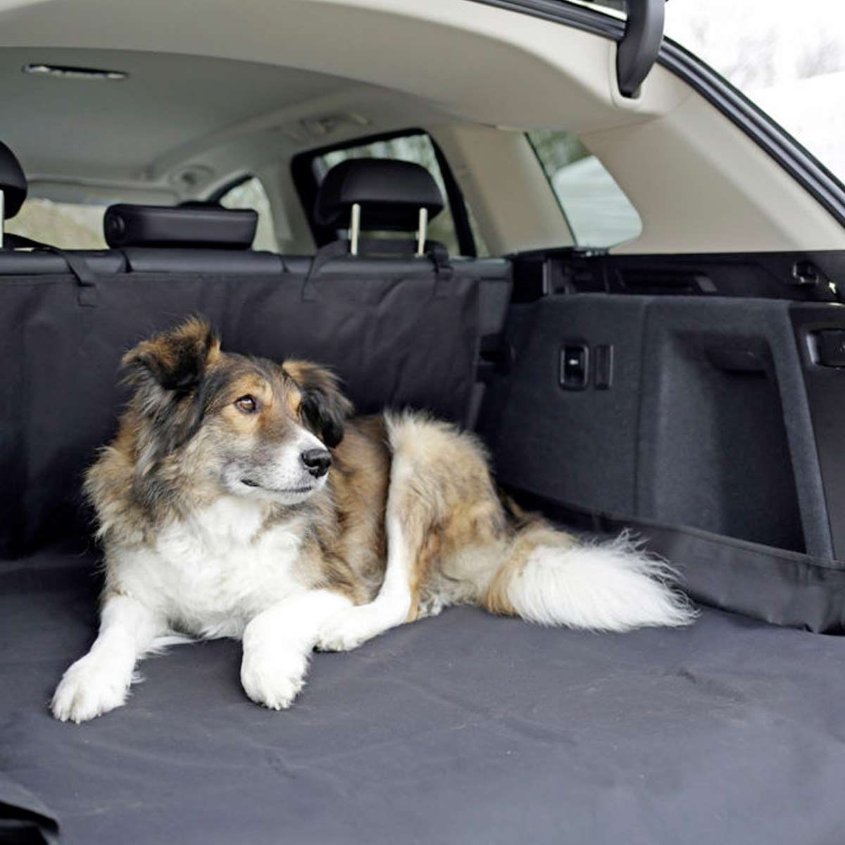 Kerbl Autoschondecke Kofferraum ECONOMY für Hunde, mit Stoßstangenschutz, im Einsatz