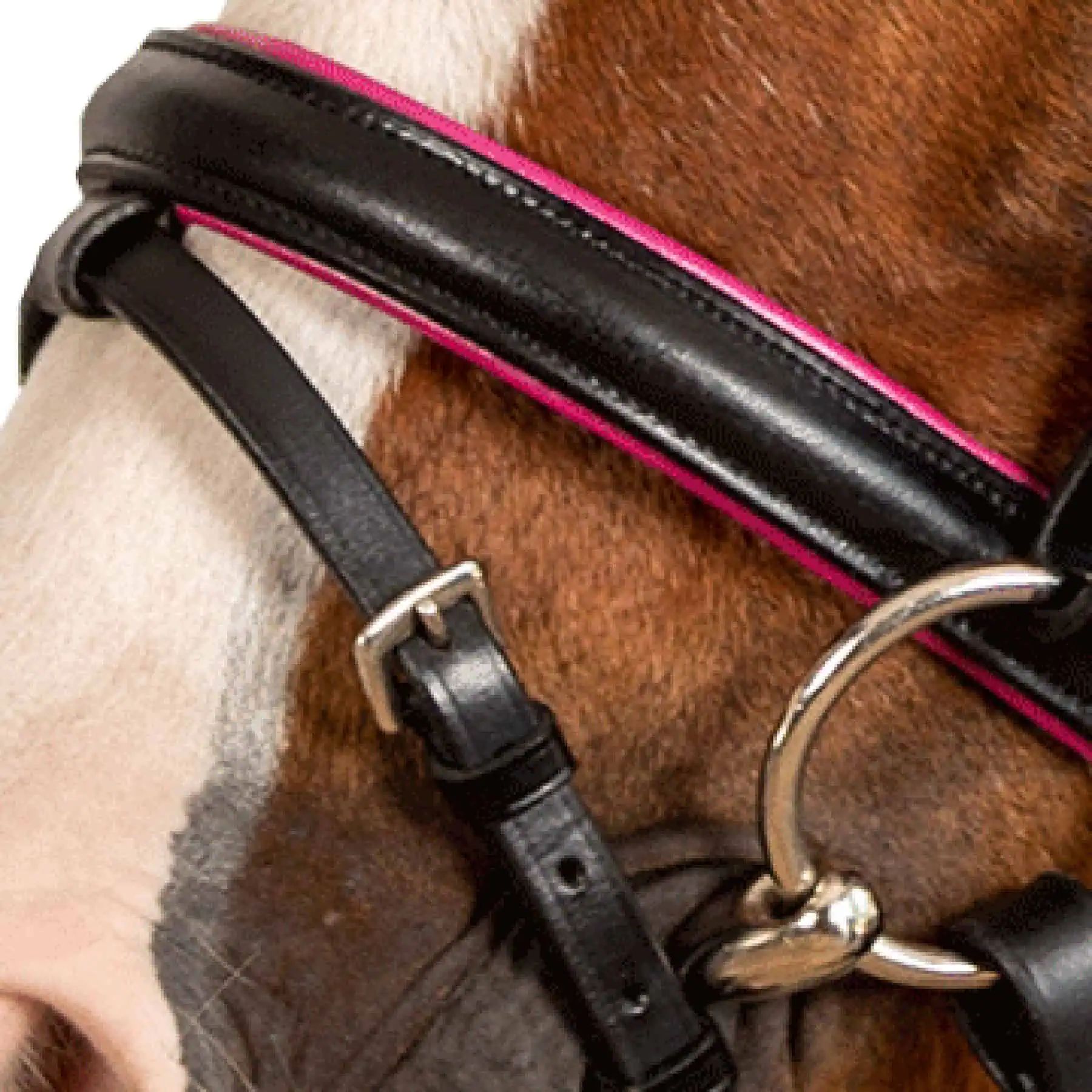 STAR Bridon Pinky, Muserolle combinée pour Poney & Shetland, Pony
