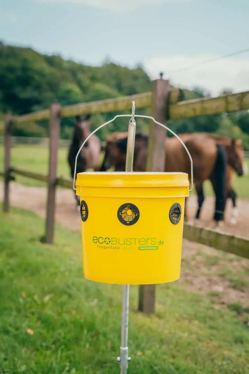 EcoBusters capcană pentru muște Weide inclusiv atractant, în utilizare, pe pășune