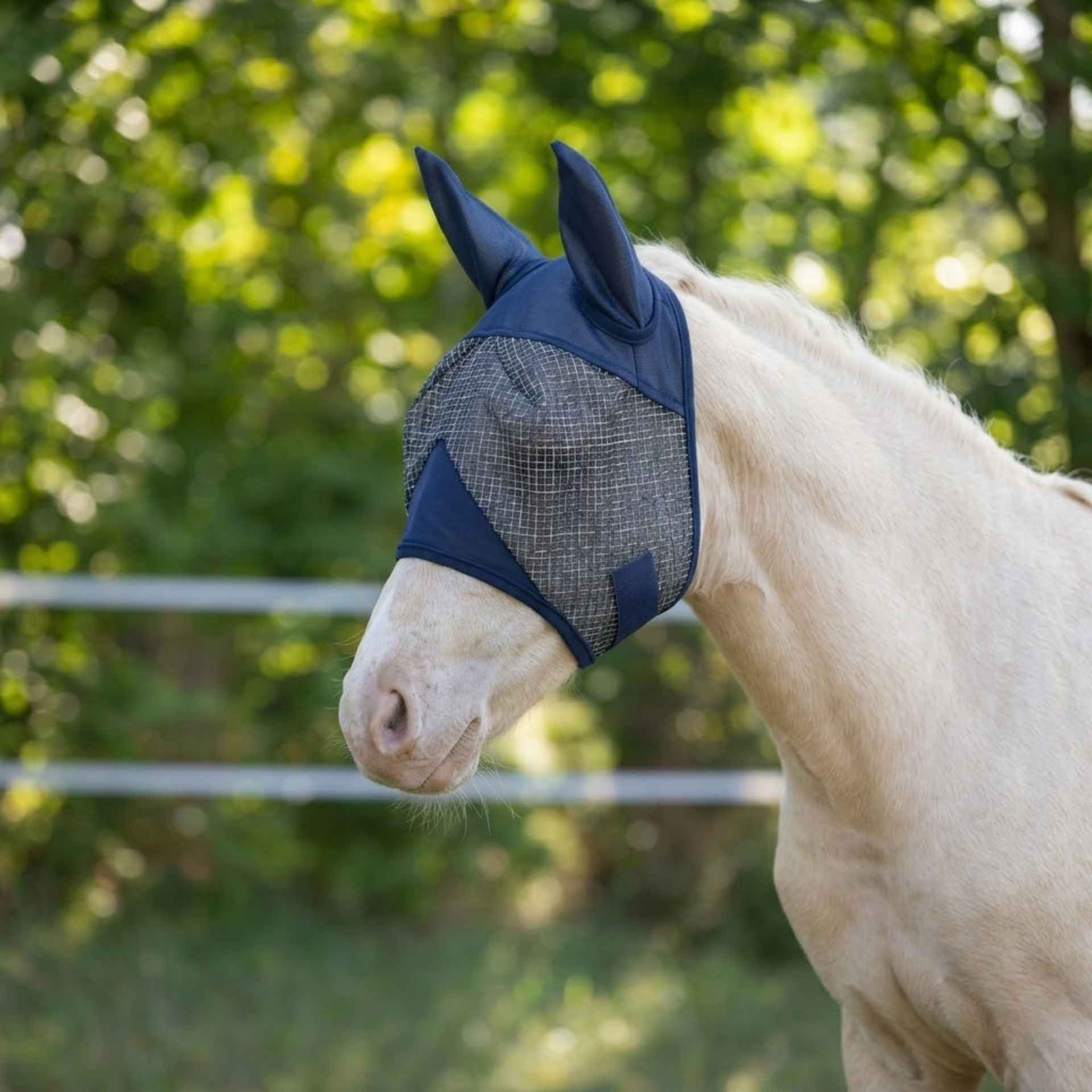 horse, fly mask, ear net, blue, mesh