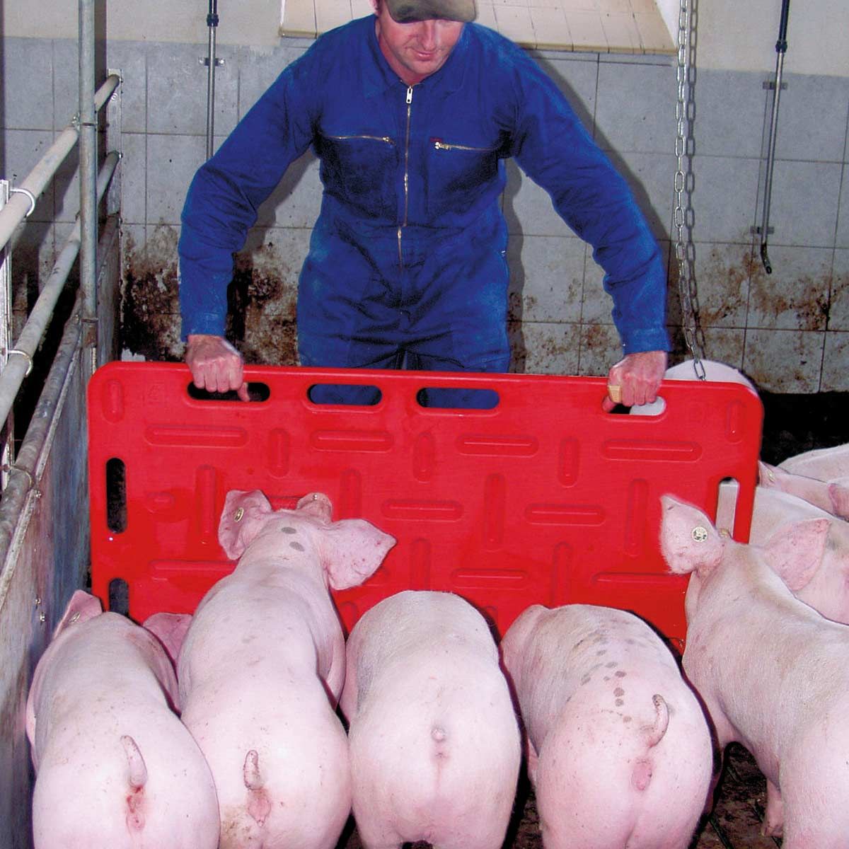 Kerbl Treibbrett für Schweine – stabil & hygienisch, 126 cm x 76 cm, rot