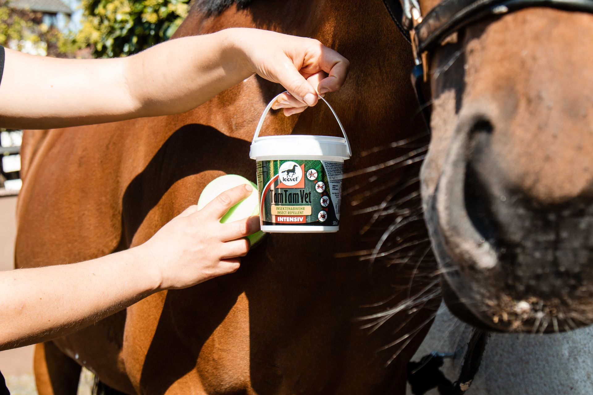 Leovet Tam Tam Vet Gel Intensif anti-mouches cheval, 500 ml