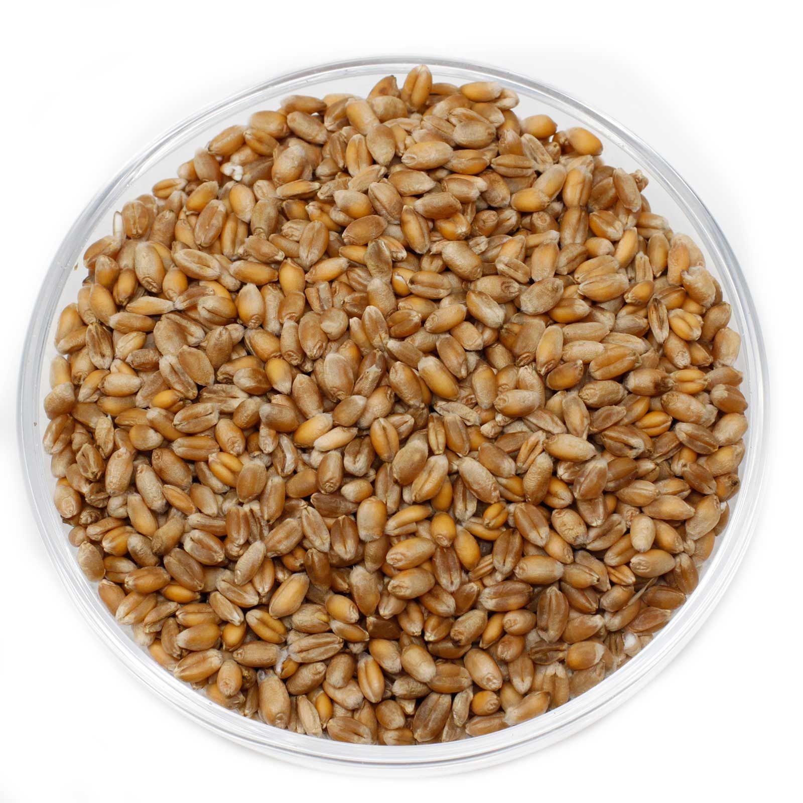 Leimüller Wheat cleaned 25 kg