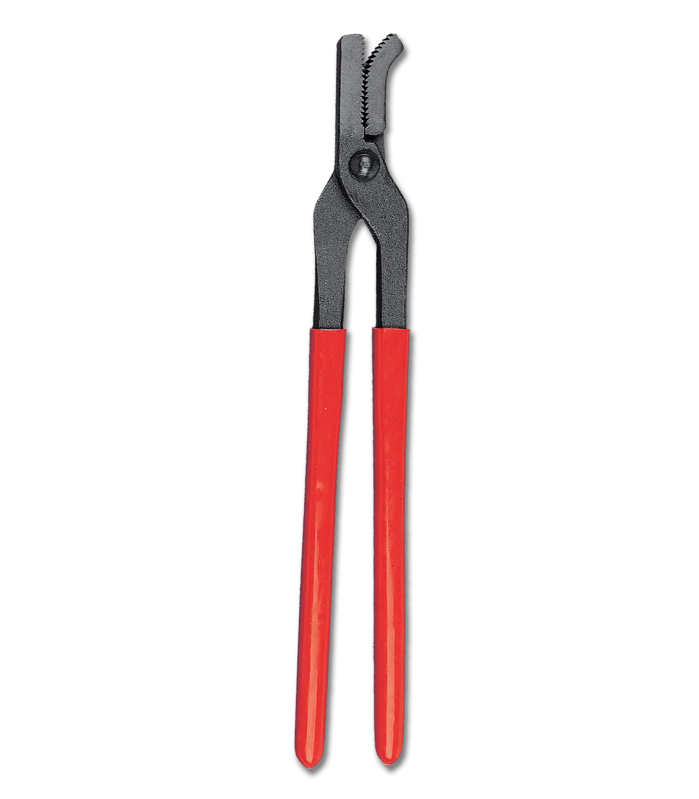 Pince à riveter Waldhausen pour clous de fer à cheval, 35 cm