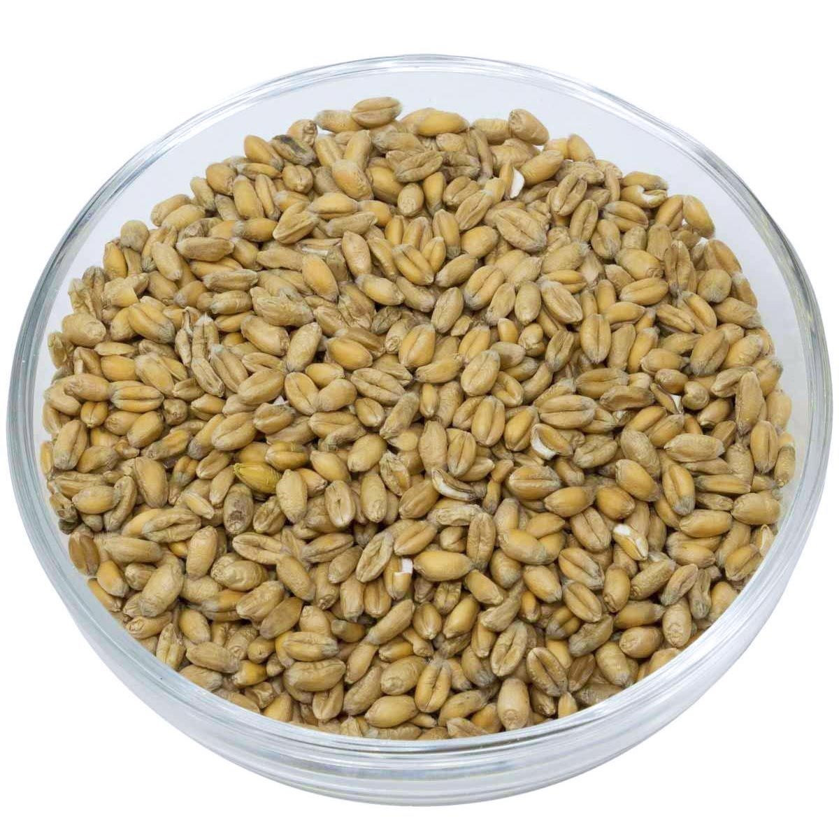 Leimüller Bio Prémium búza 25 kg, ömlesztett termék