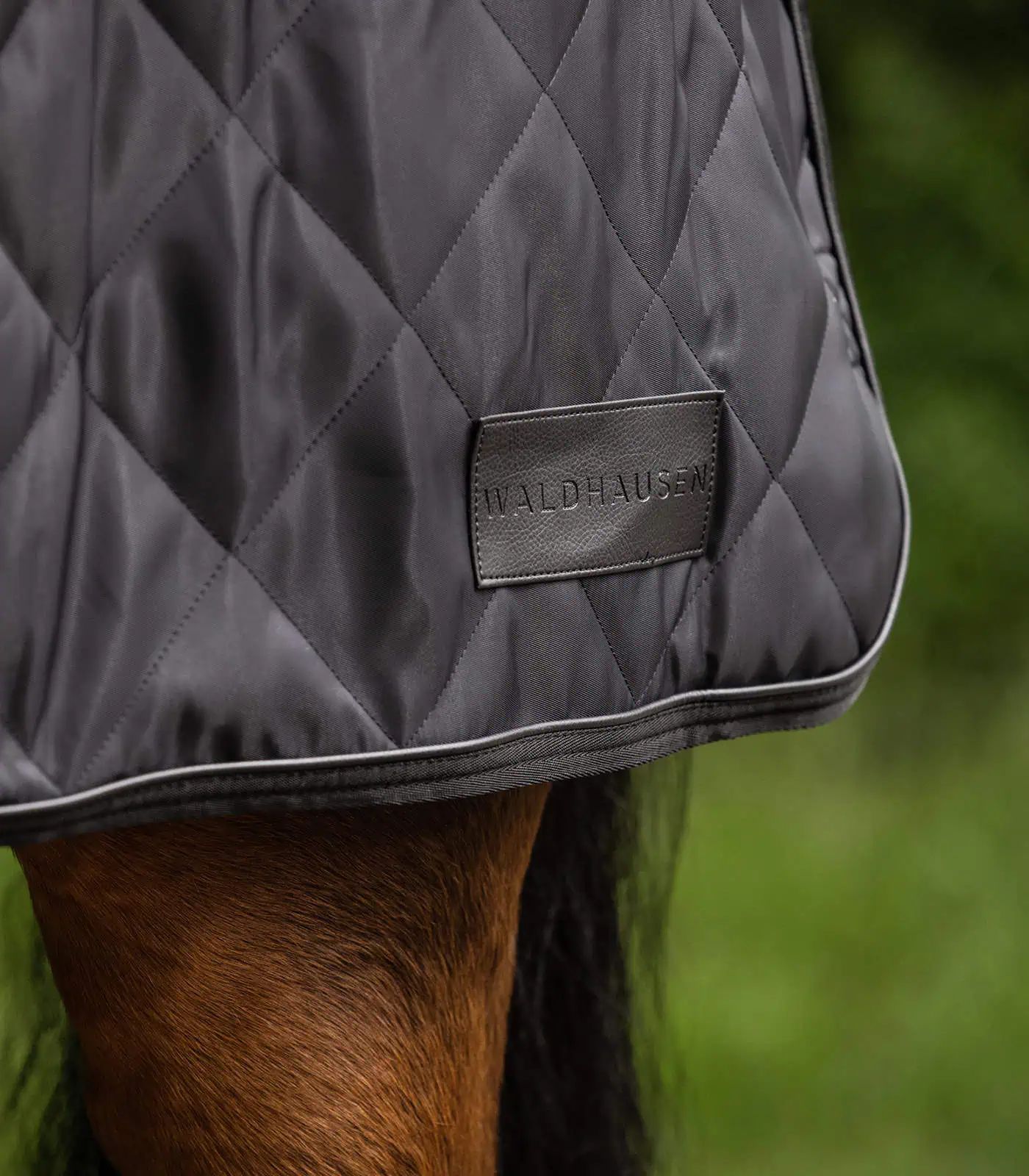 Waldhausen Couverture de manège Exclusive, fourrure synthétique, noir 145 cm
