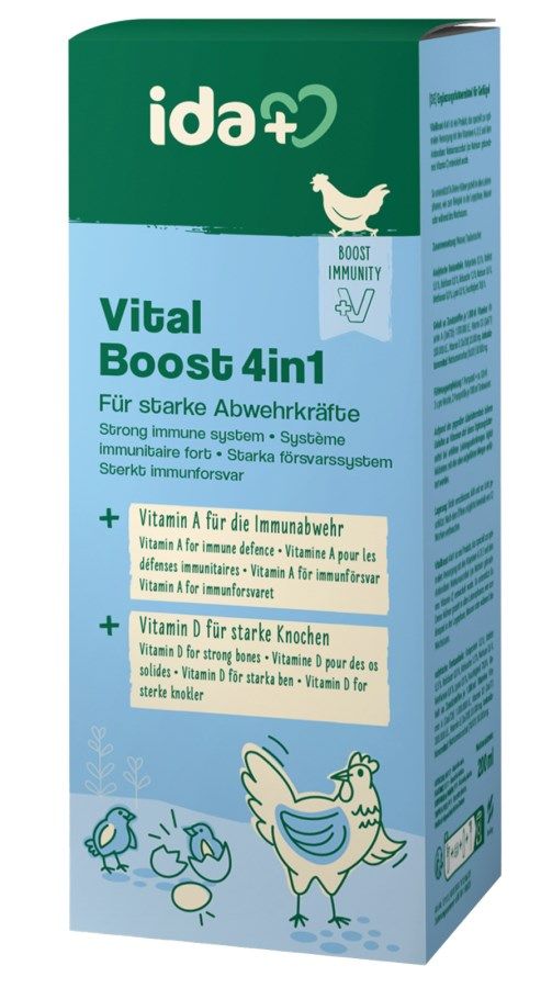 vitamin, immunity, boost, 4in1, cartoon-chicken