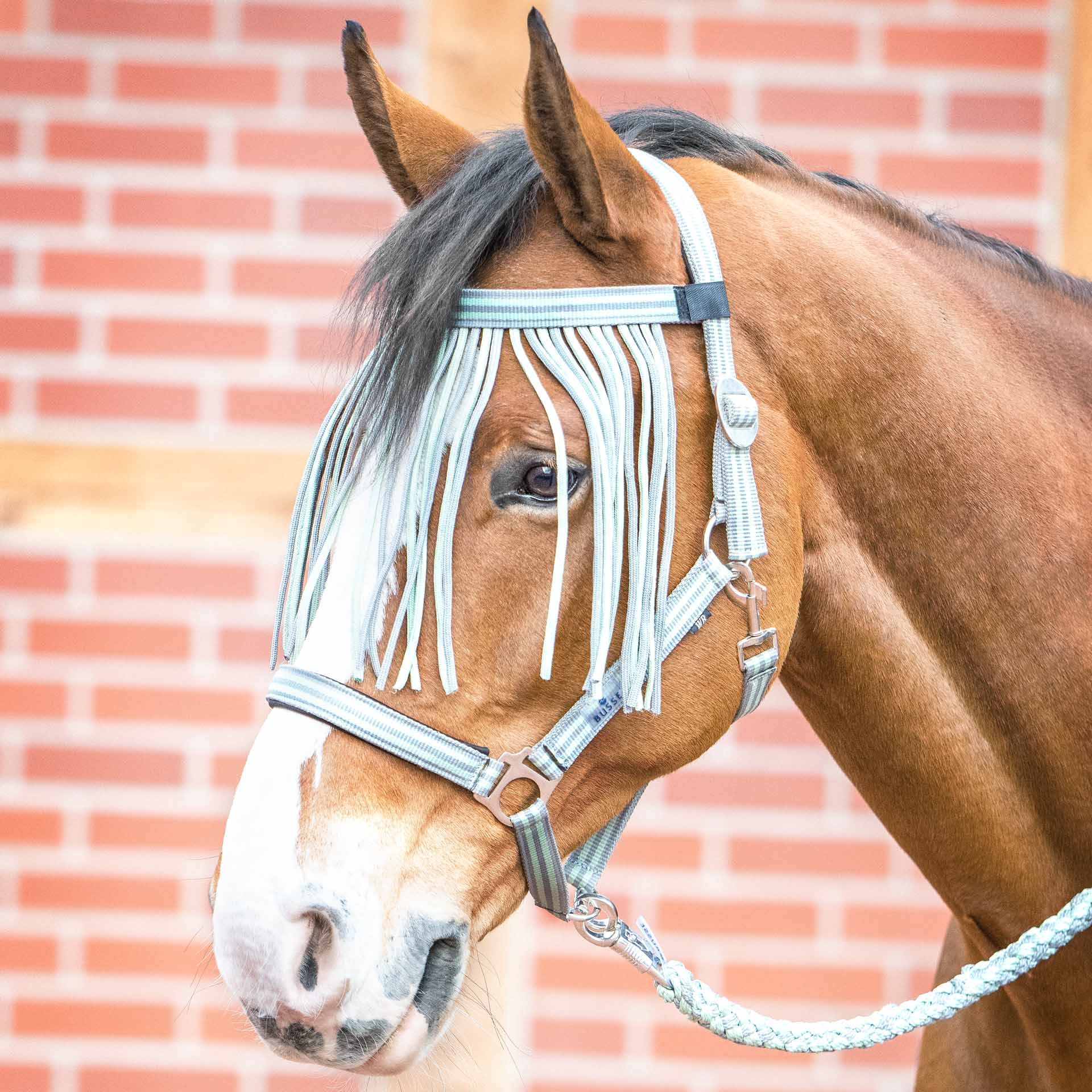 Bandeau anti-mouches BUSSE VISBY II, protection insectes cheval, XFULL gris/vert fumée