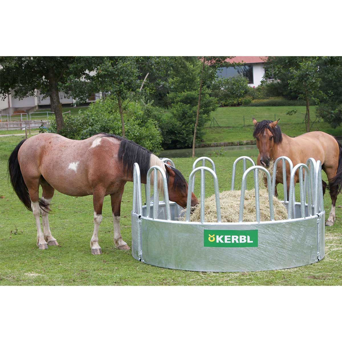 Râtelier rond Kerbl chevaux 12 places, galvanisé à chaud, grille palissade, en utilisation, au pré