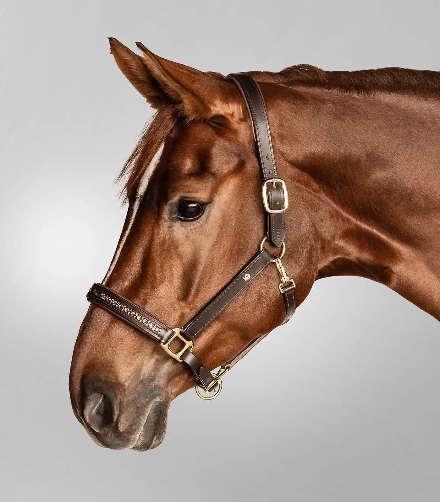 Waldhausen X-Line Lederhalfter Crystal, elegant mit Glitzersteinen, braun/gold Pony