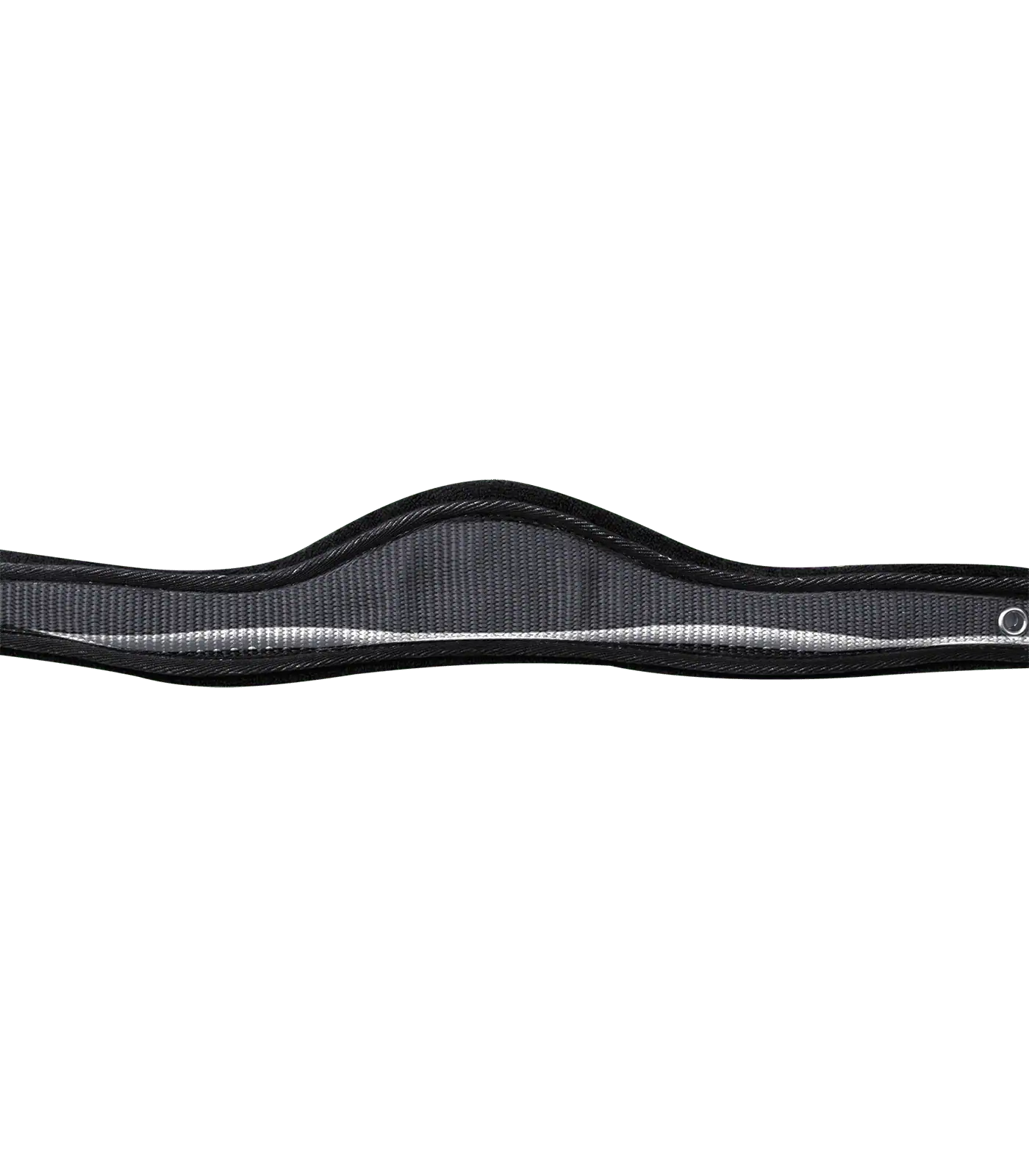 Licol Athletic Waldhausen, licol en nylon rembourré avec bossettes métalliques, Poney, asphalte/noir