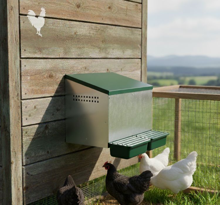 Agrarzone Pondoir à Rouleau pour Poules, Fond Plastique, en utilisation