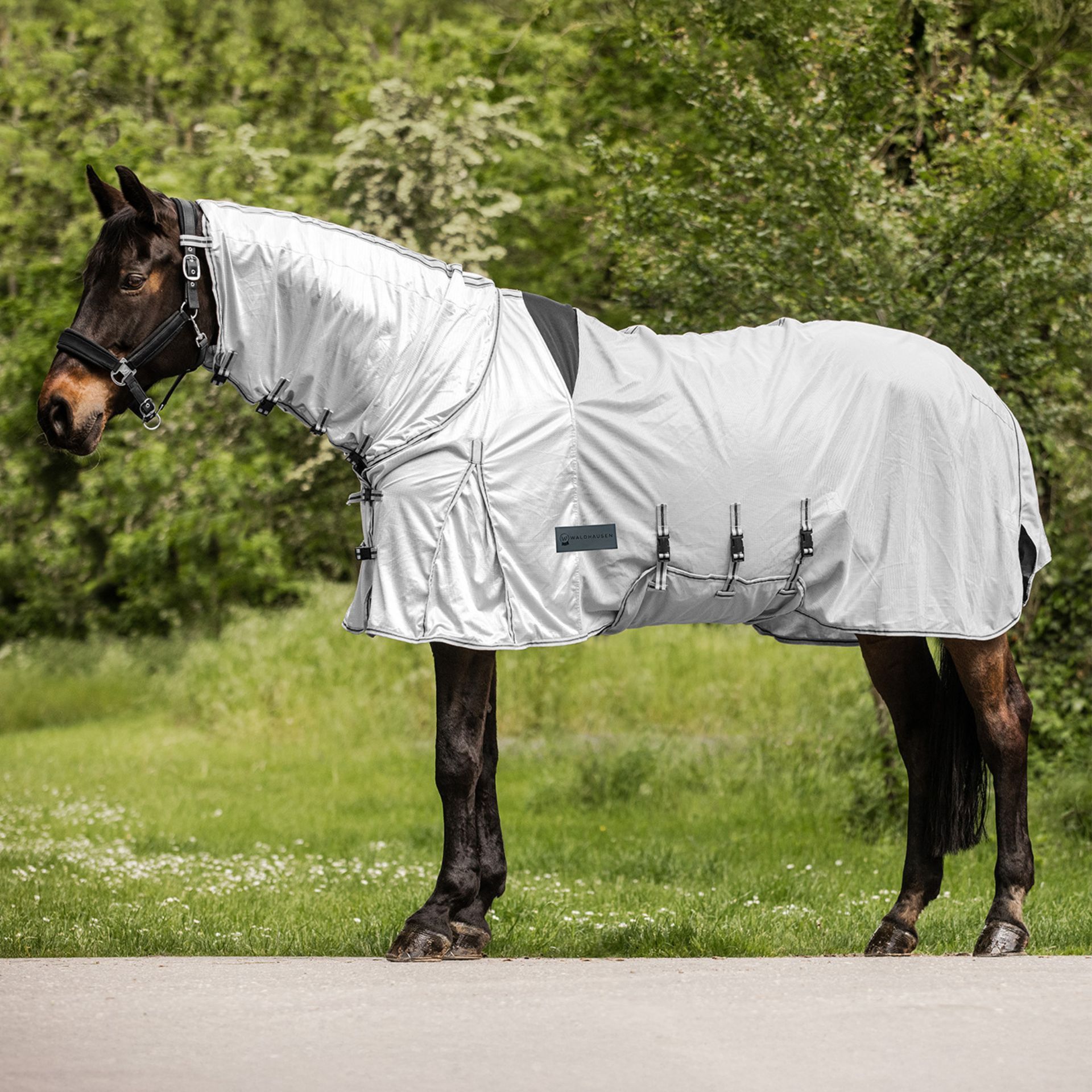 horse blanket, stable sheet, fly protection?, metal buckles, gray blanket