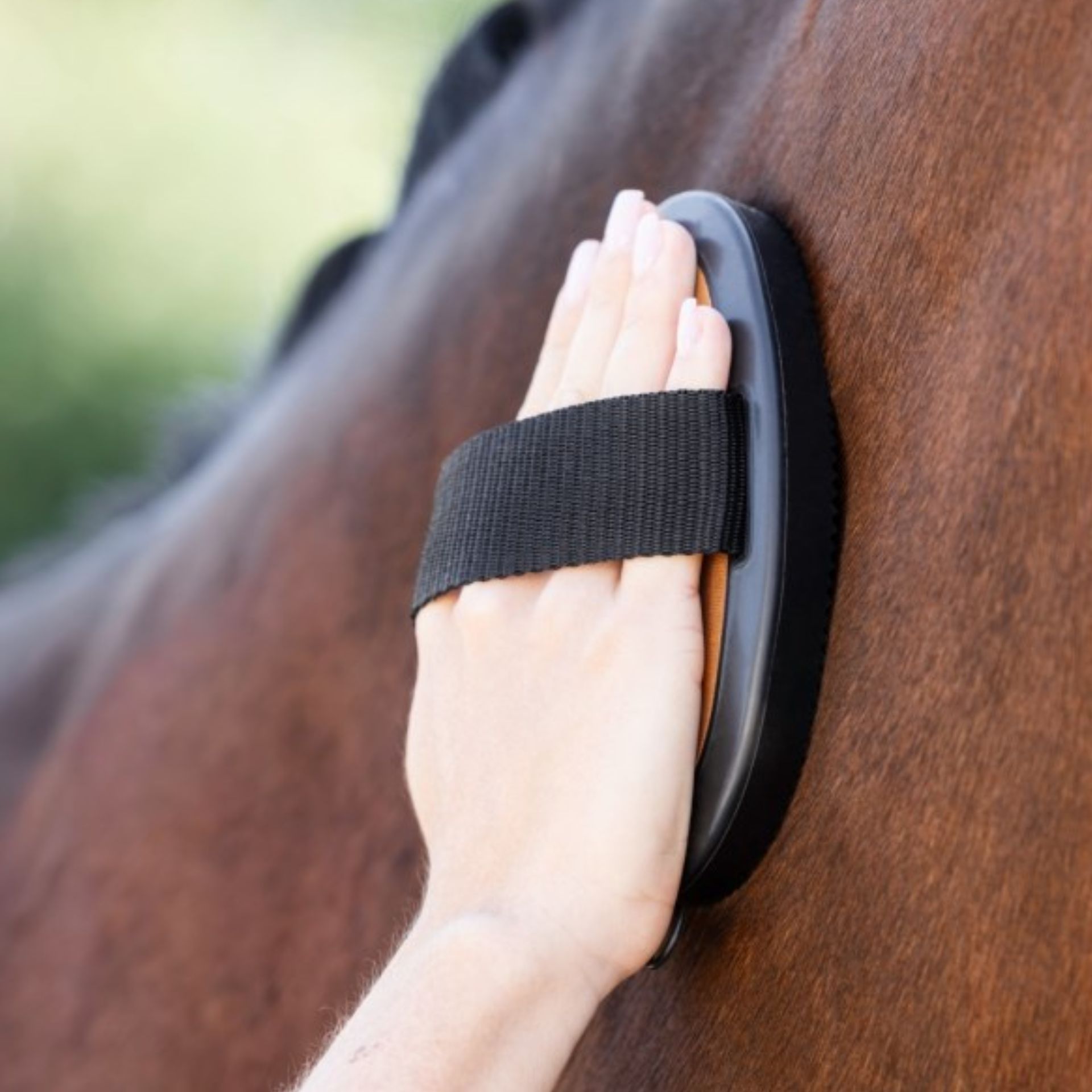 Covalliero Curry Comb Deluxe with Faux Leather Grip for Horses, in use