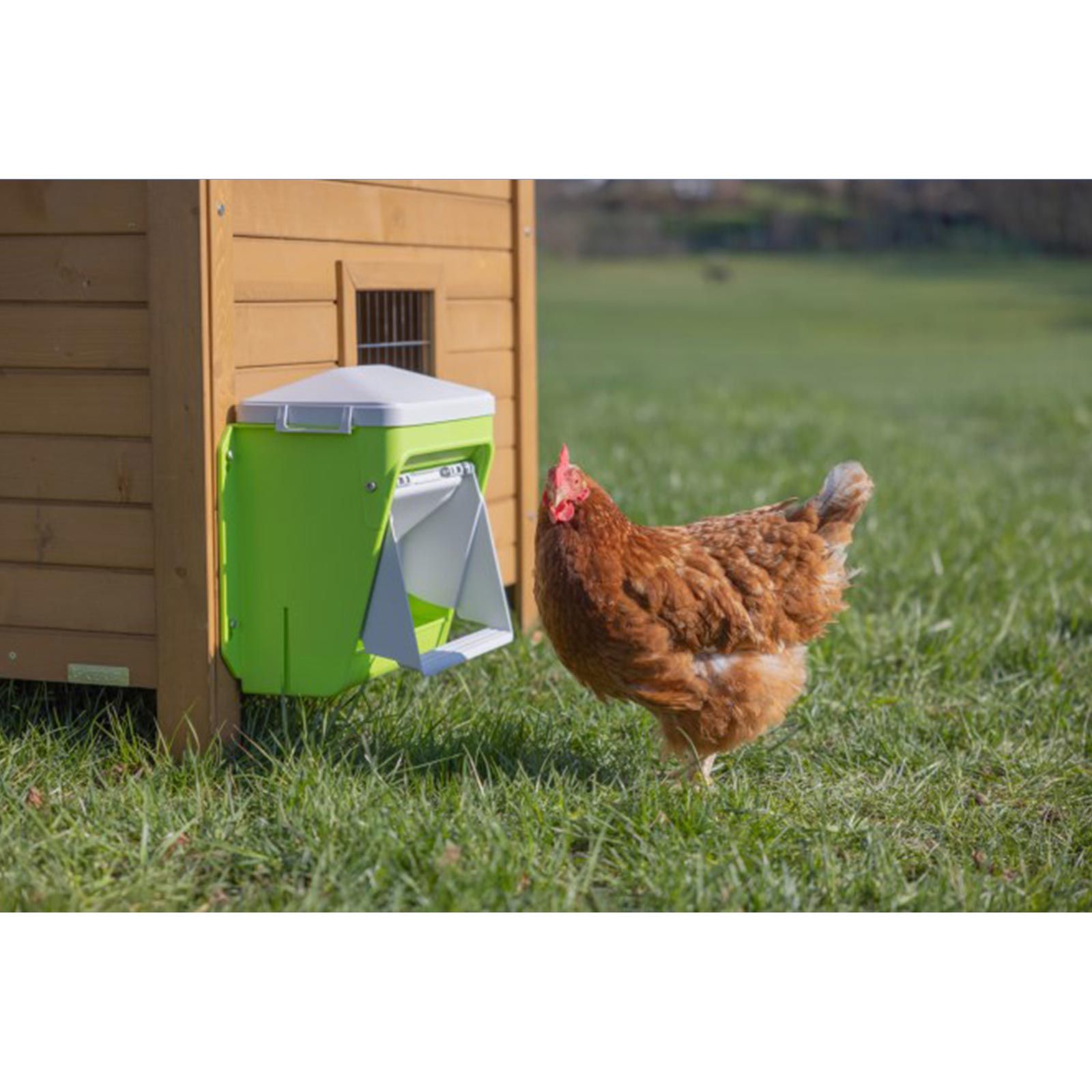 Kerbl SmartCoop Automatic Chicken Feeder, 7.5 kg