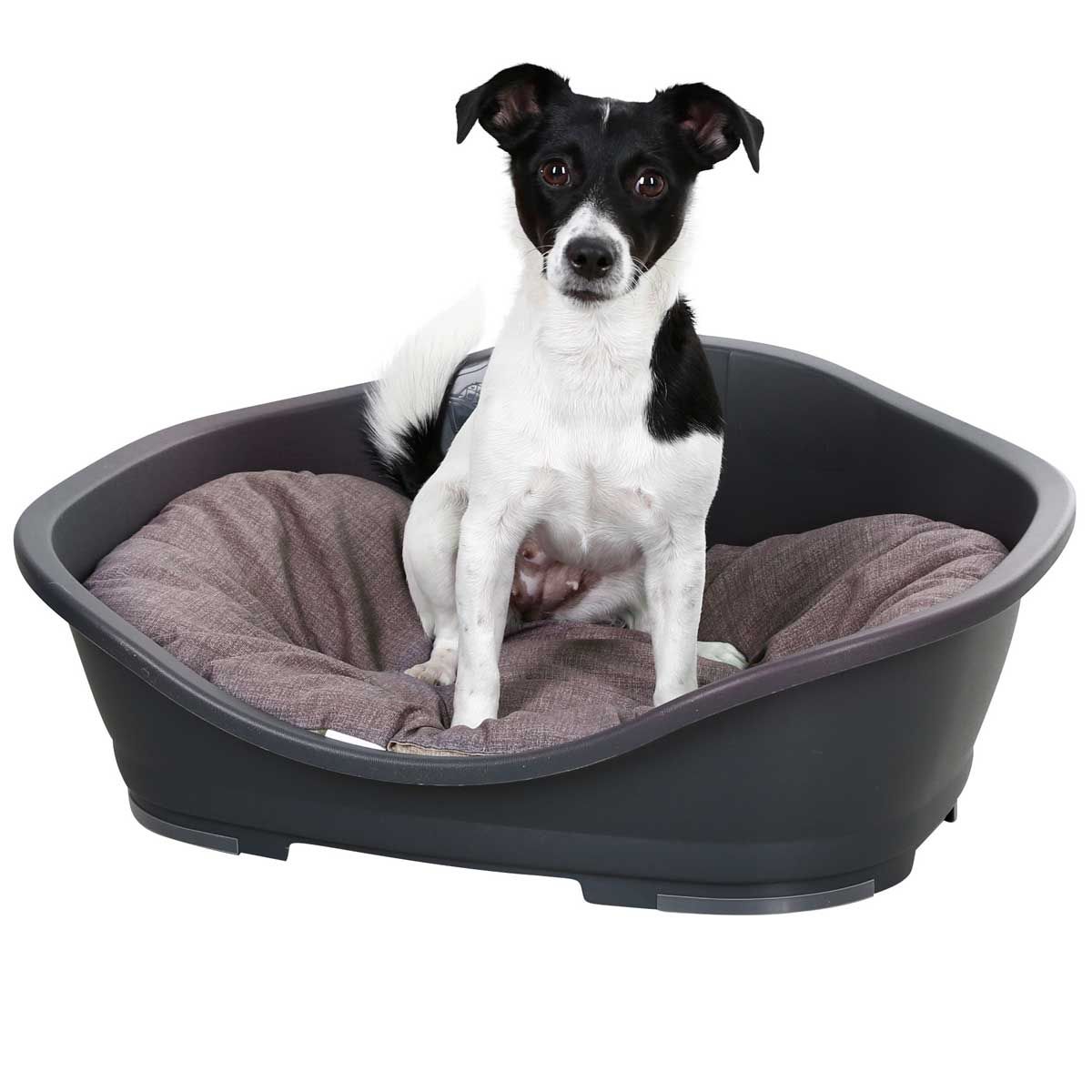 Kerbl Coussin Loneta pour chien, ovale, marron/gris, 82x57 cm