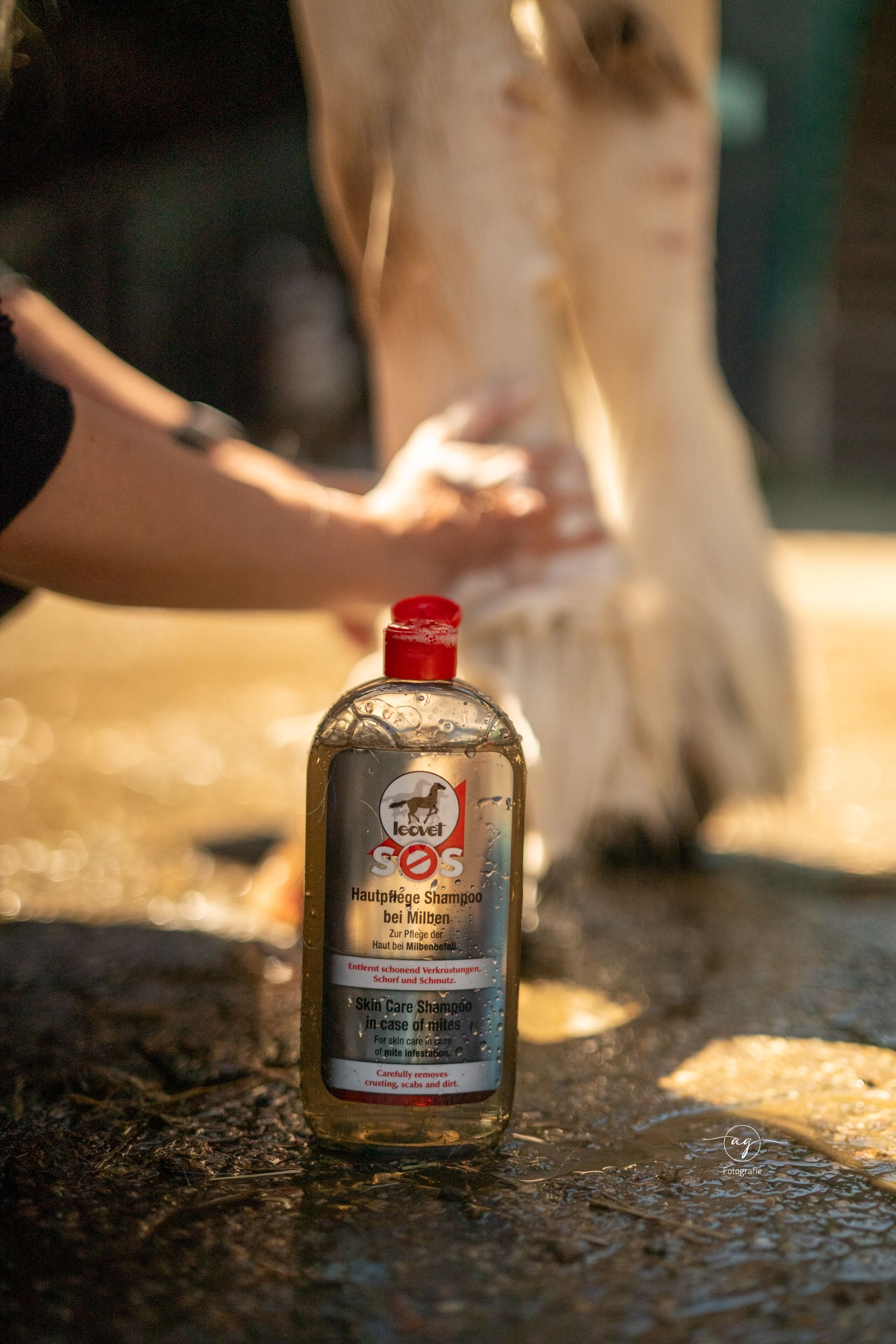 Shampooing SOS Leovet soin de la peau contre les acariens, 500 ml