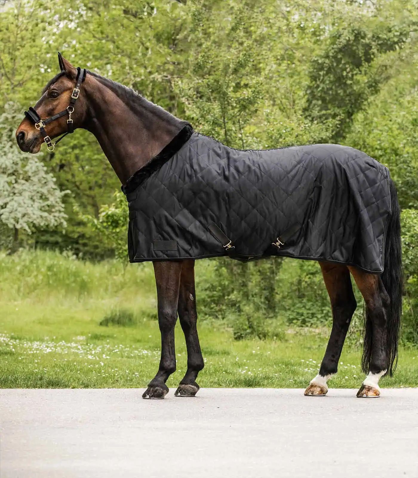 Waldhausen Transportdecke Exclusive Pferd, Kunstfell, 50 g Füllung, schwarz, 155 cm