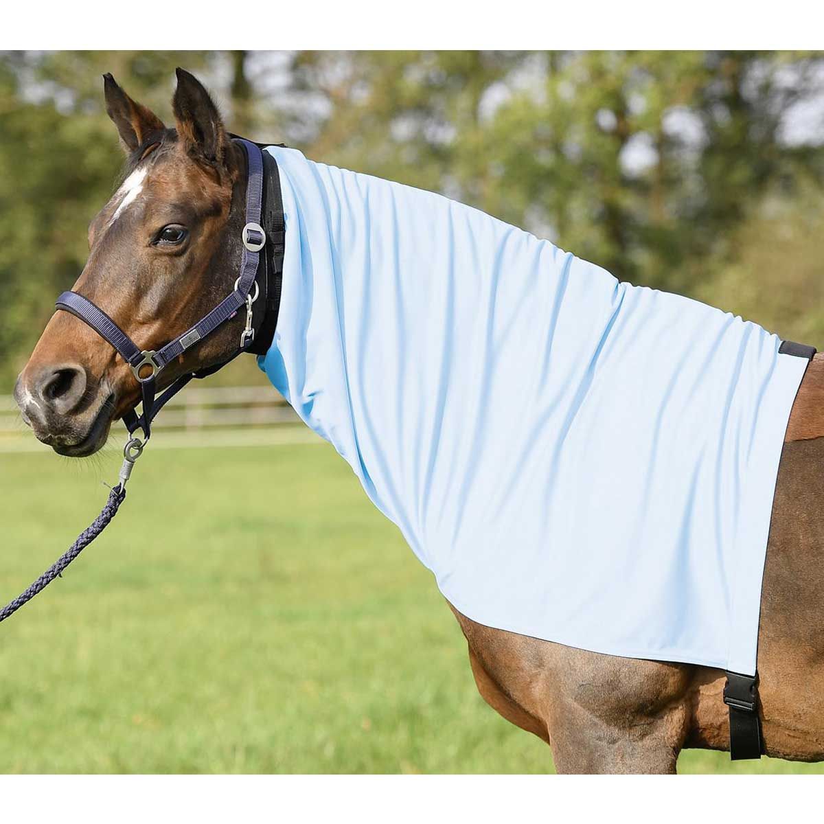 BUSSE L'eczéma du cou est très répandu