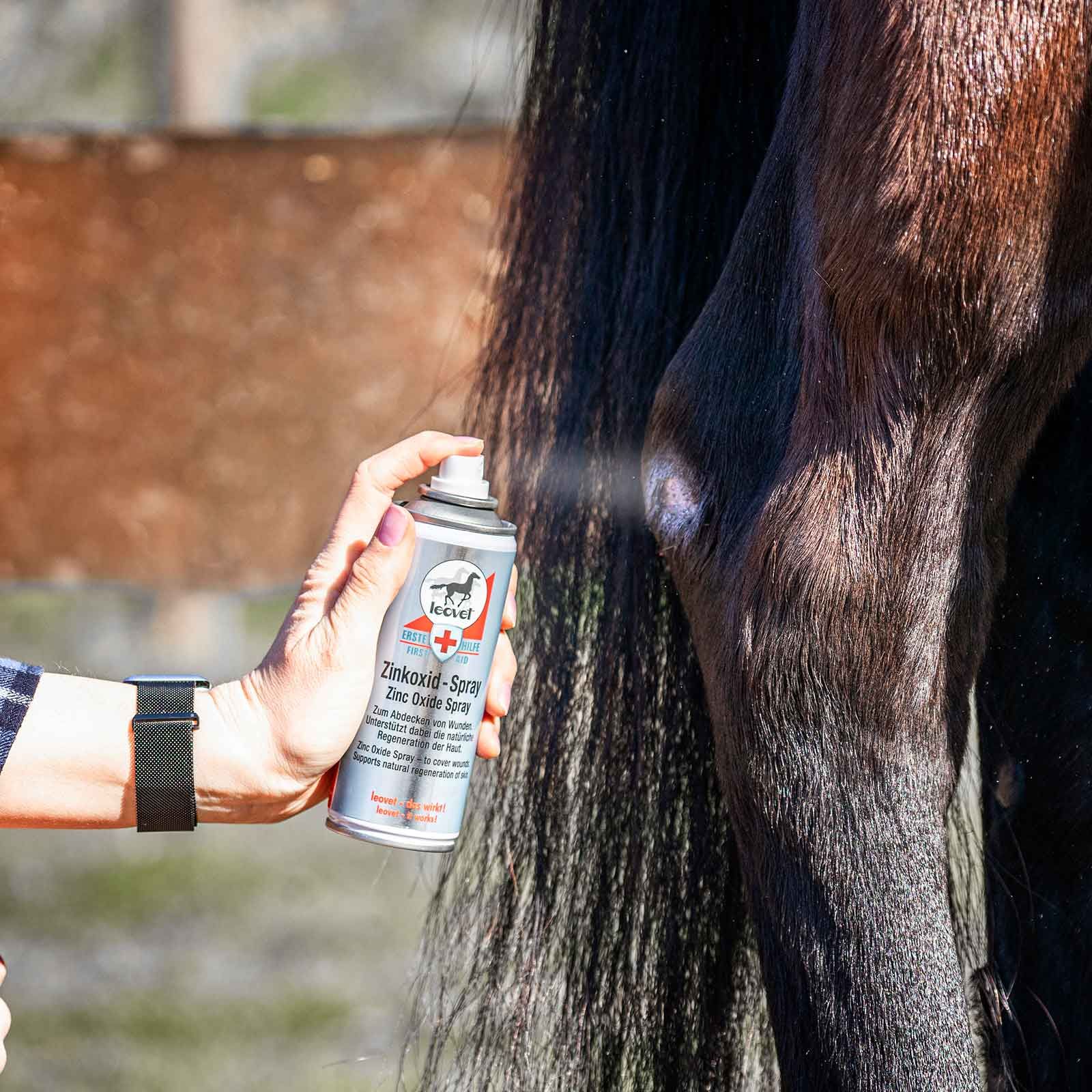 Leovet Zinkoxid Spray für Pferde, 200 ml Wundpflege für die Haut, im Einsatz, in der Hand