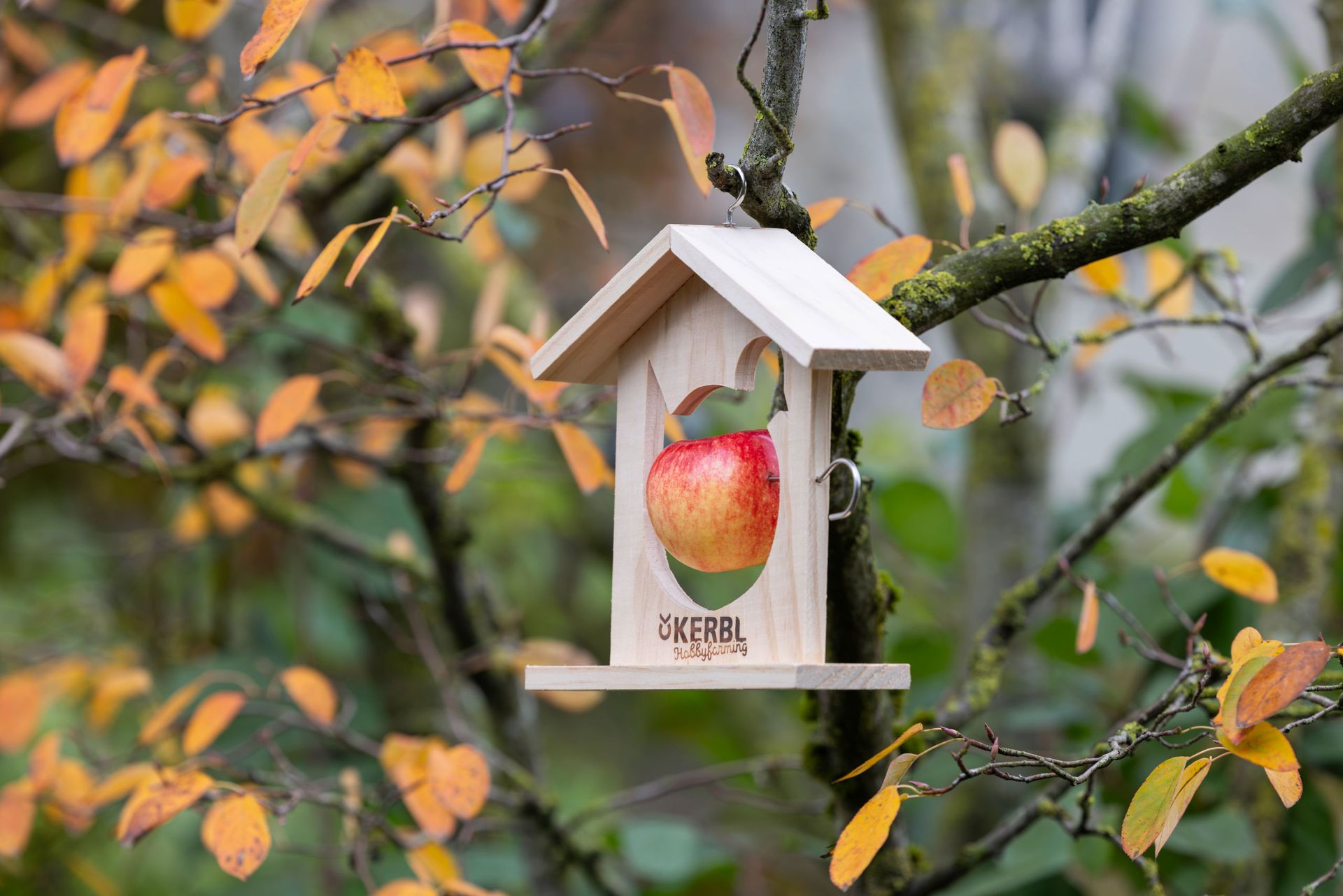 Kerbl Wooden Fat Ball Holder Solo with Metal Bracket, 18.5 x 6 x 19 cm, in use