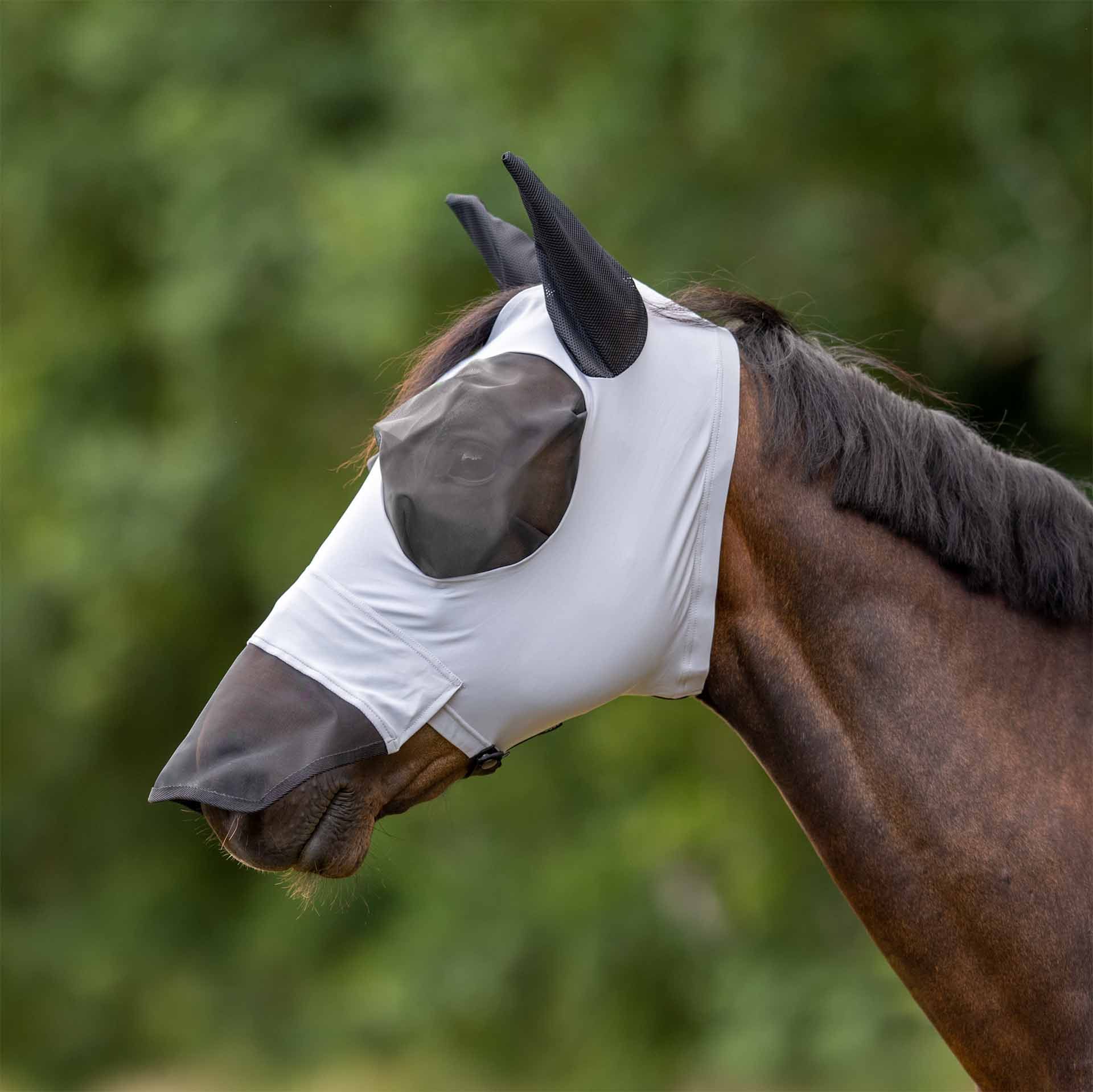 BUSSE Fly Mask TWIN FIT FLEXI PLUS with Nose Protection, in use