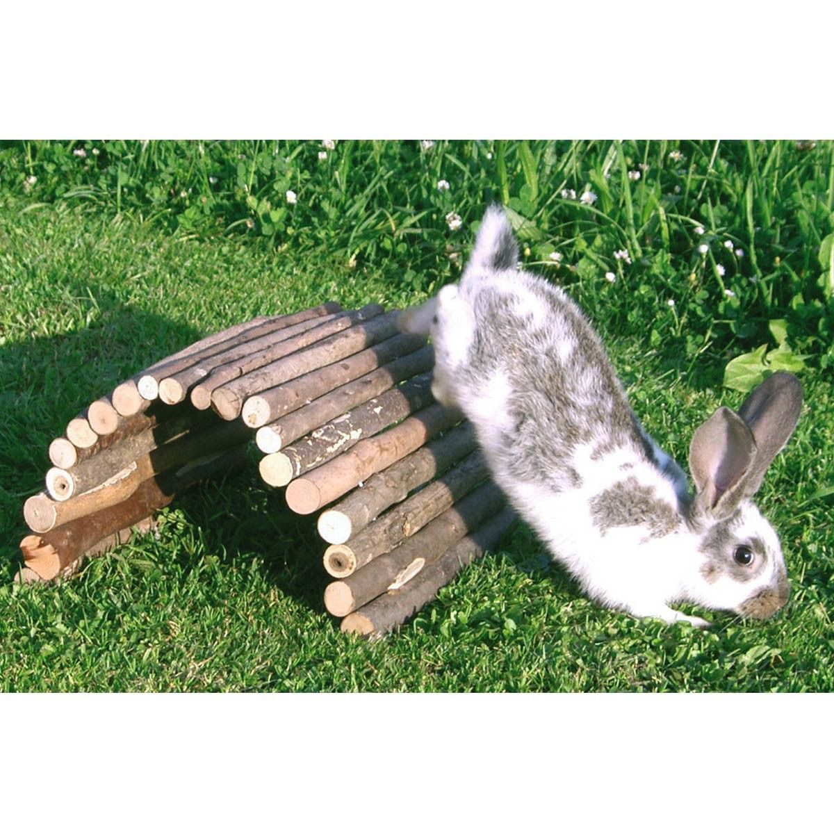 Kerbl Weidenbrücke für Nager, Holzbrücke aus Naturholz 27 x 16 cm, im Einsatz, auf der Weide