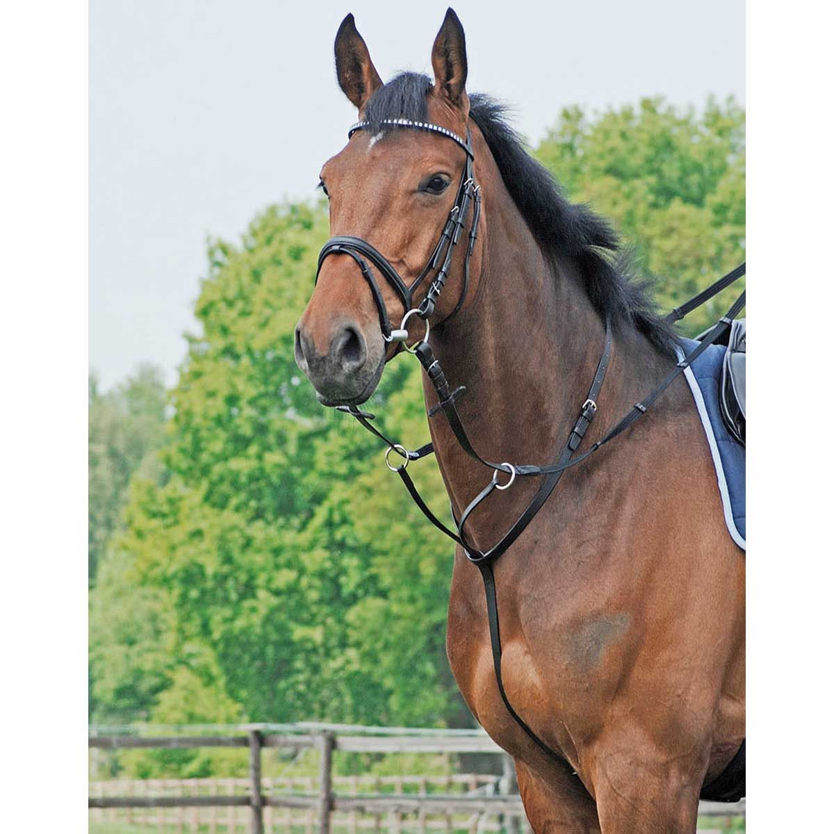 BUSSE Rênes auxiliaires Martingale basic