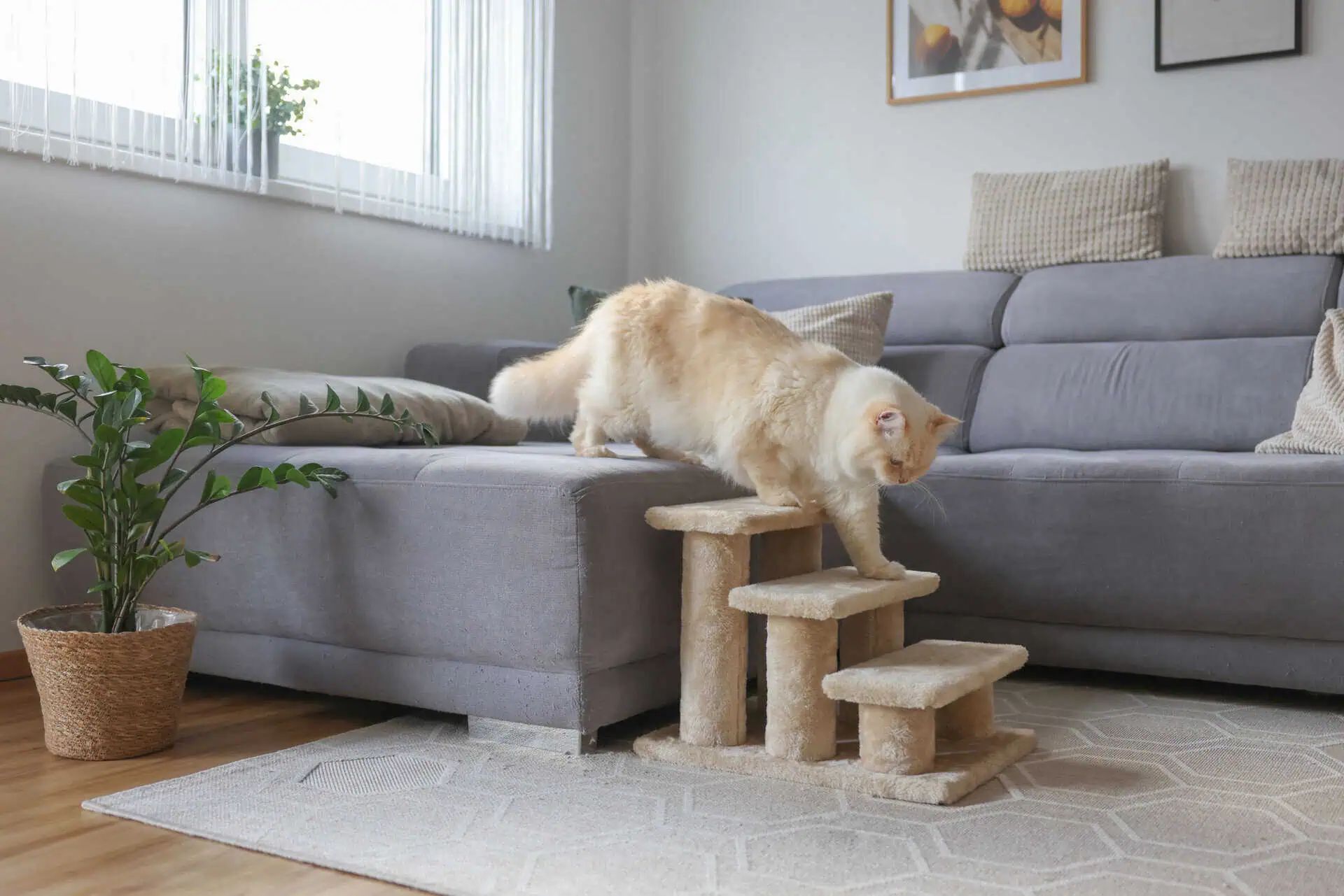 Escalier pour Animaux Easy Climb 2 avec Housse Peluche Chien & Chat