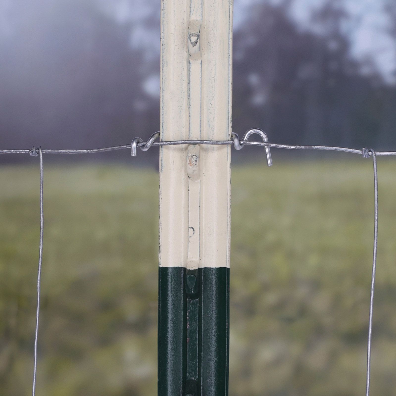 25x Ako Befestigungsclips für T-Pfosten, T-Post, verzinktes Metall, im Einsatz, auf der Weide
