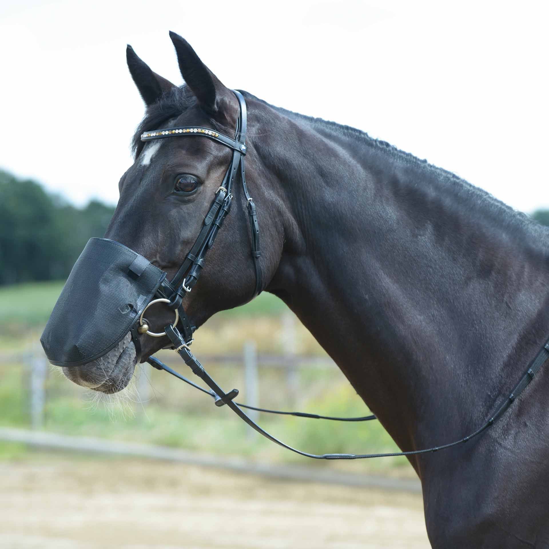 BUSSE Protezione per le narici FLY PROFESSIONAL M (G-Pony) nero