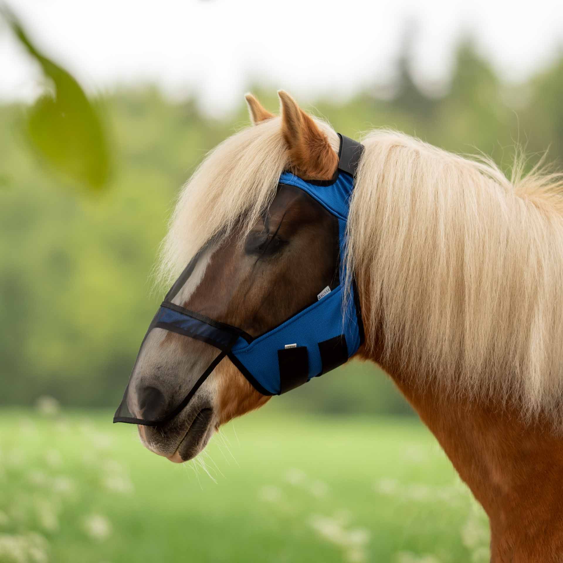 BUSSE Fliegenmaske FLY GUARD FREE PLUS, ohne Ohrenschutz, blau WB