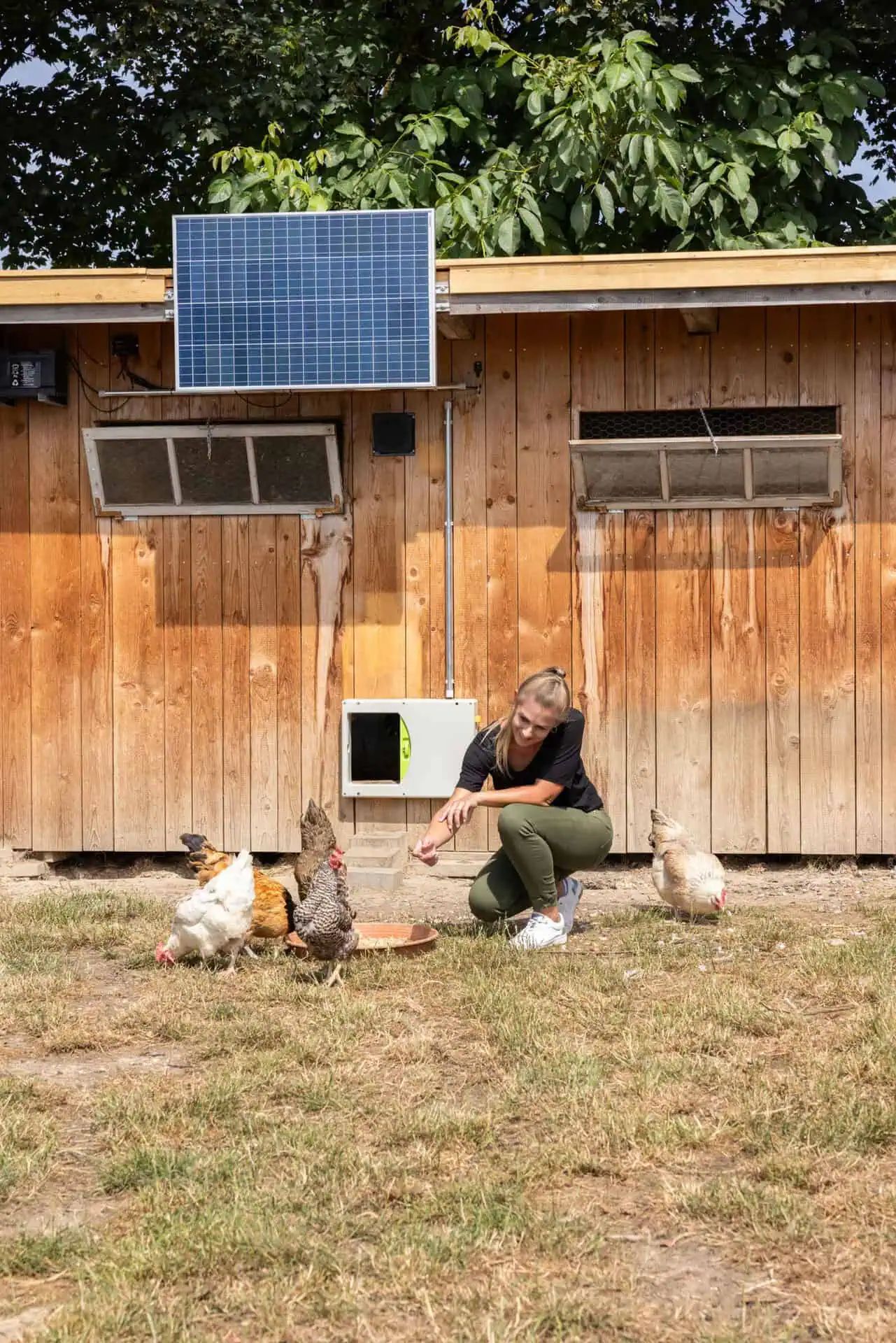 Kerbl Solarpanel 100W mit Laderegler für Stall & Weidezaun, im Einsatz, im Stall