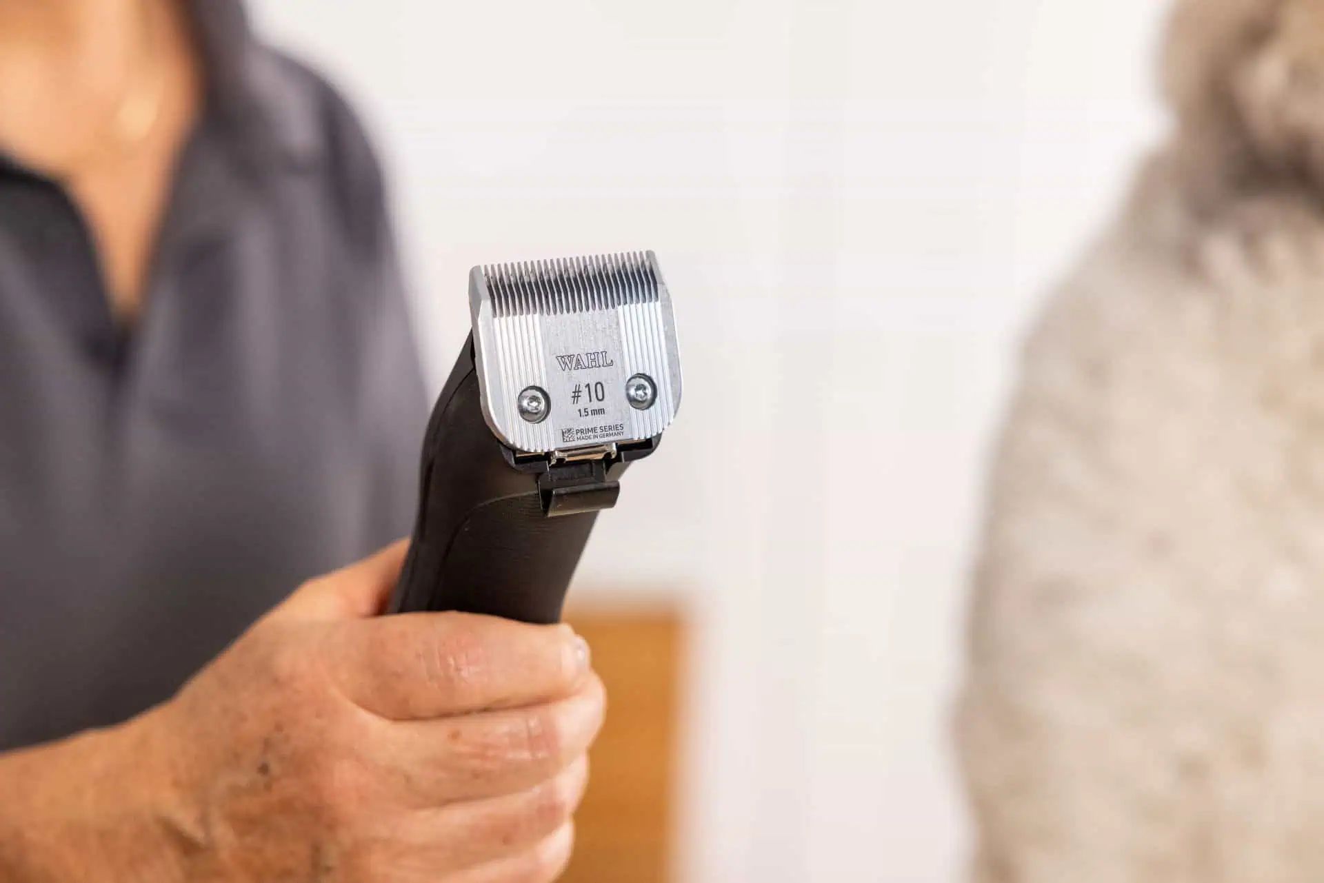 WAHL Masină de Tuns MaxGo + Perie de Cauciuc Sheddy Gratuită, în utilizare, în mână