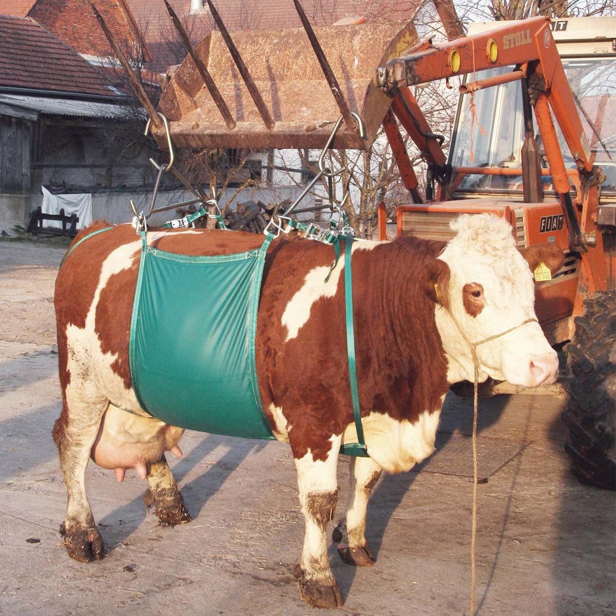 Kerbl tehénemelő berendezés 1000 kg-ig, szíjakkal és hordtáskával, használat közben