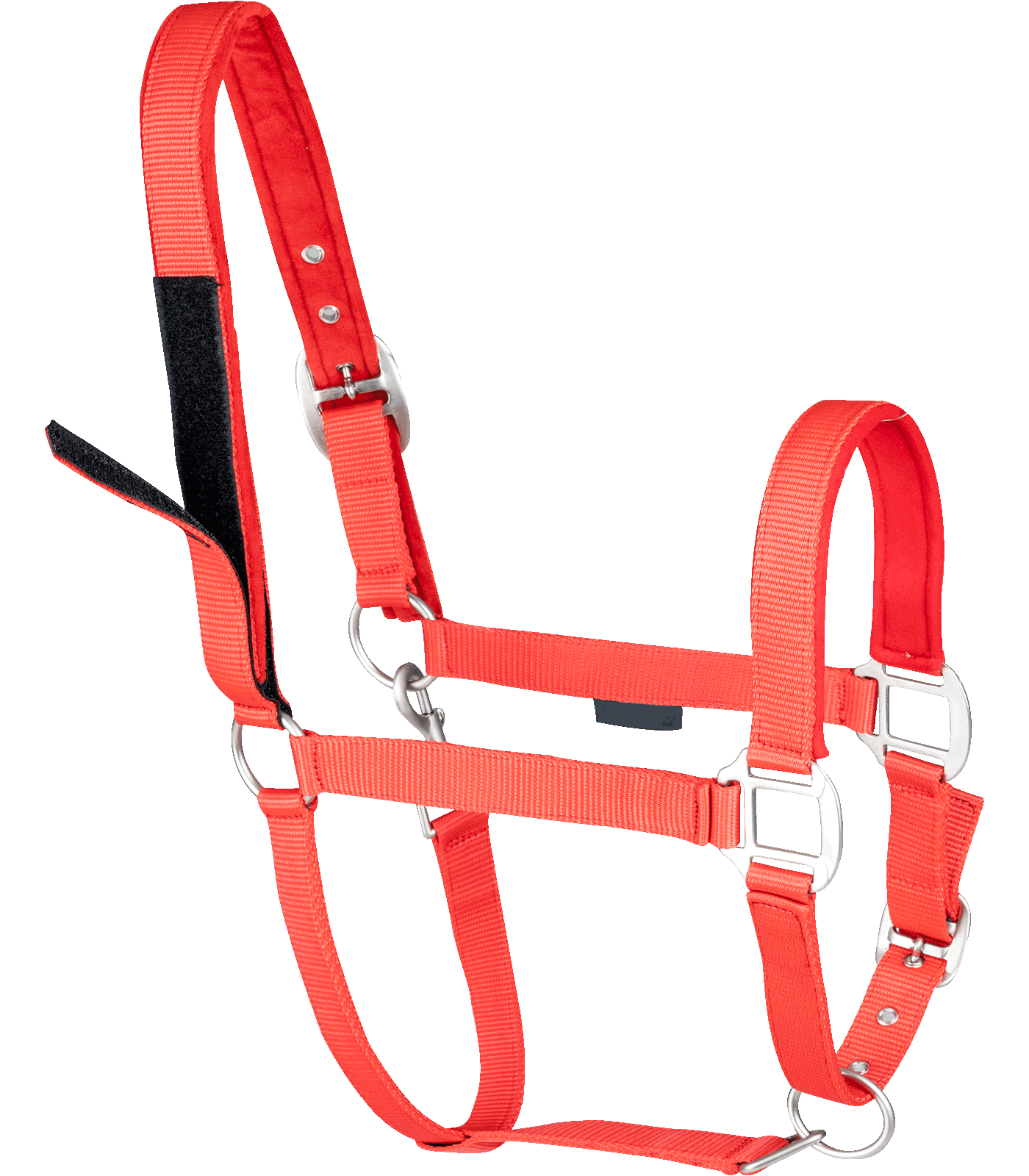 halter, Pferd, Bridle, rot, Edelstahl