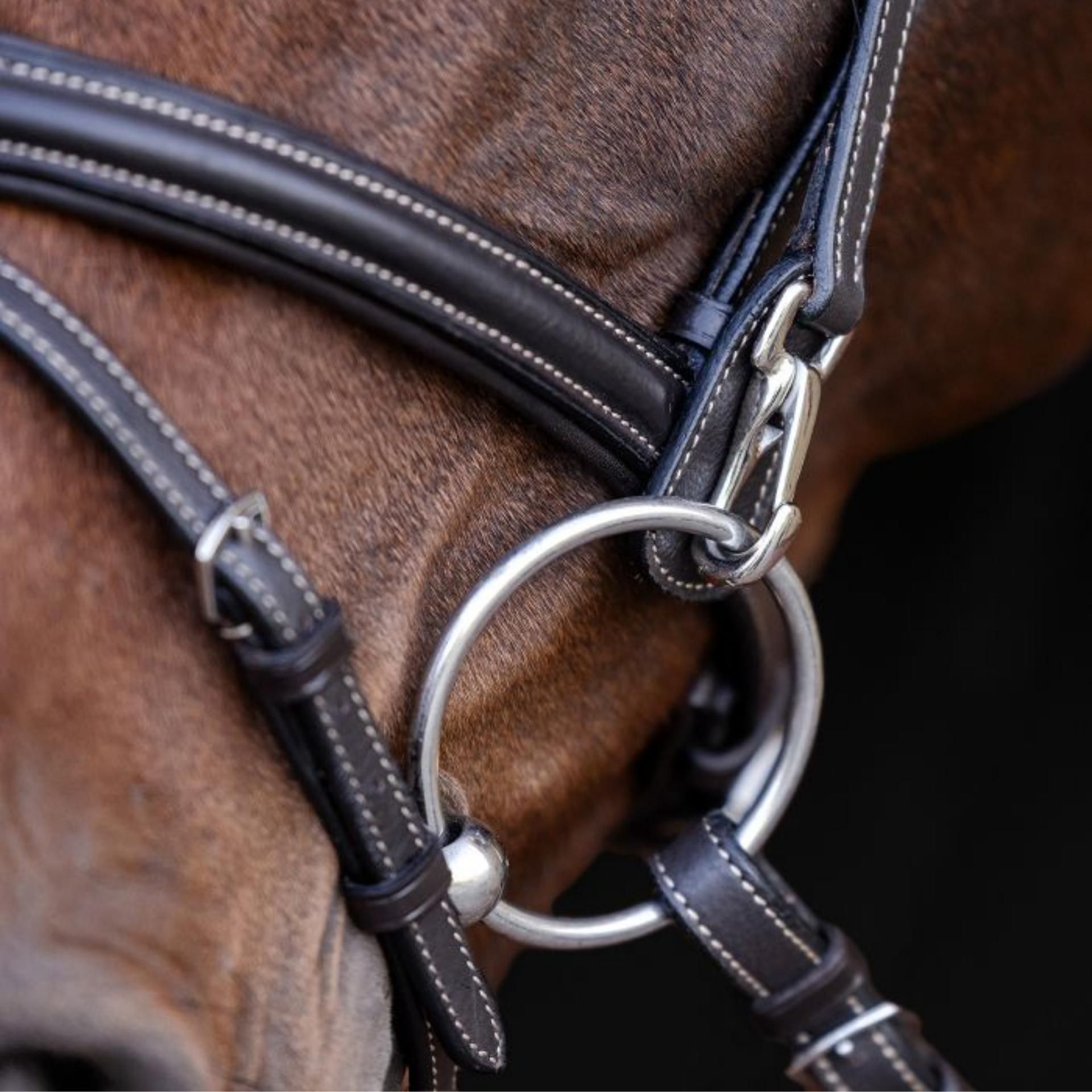 Waldhausen X-Line Trensenzaum Work, Pony, anatomisches Genickstück, im Einsatz