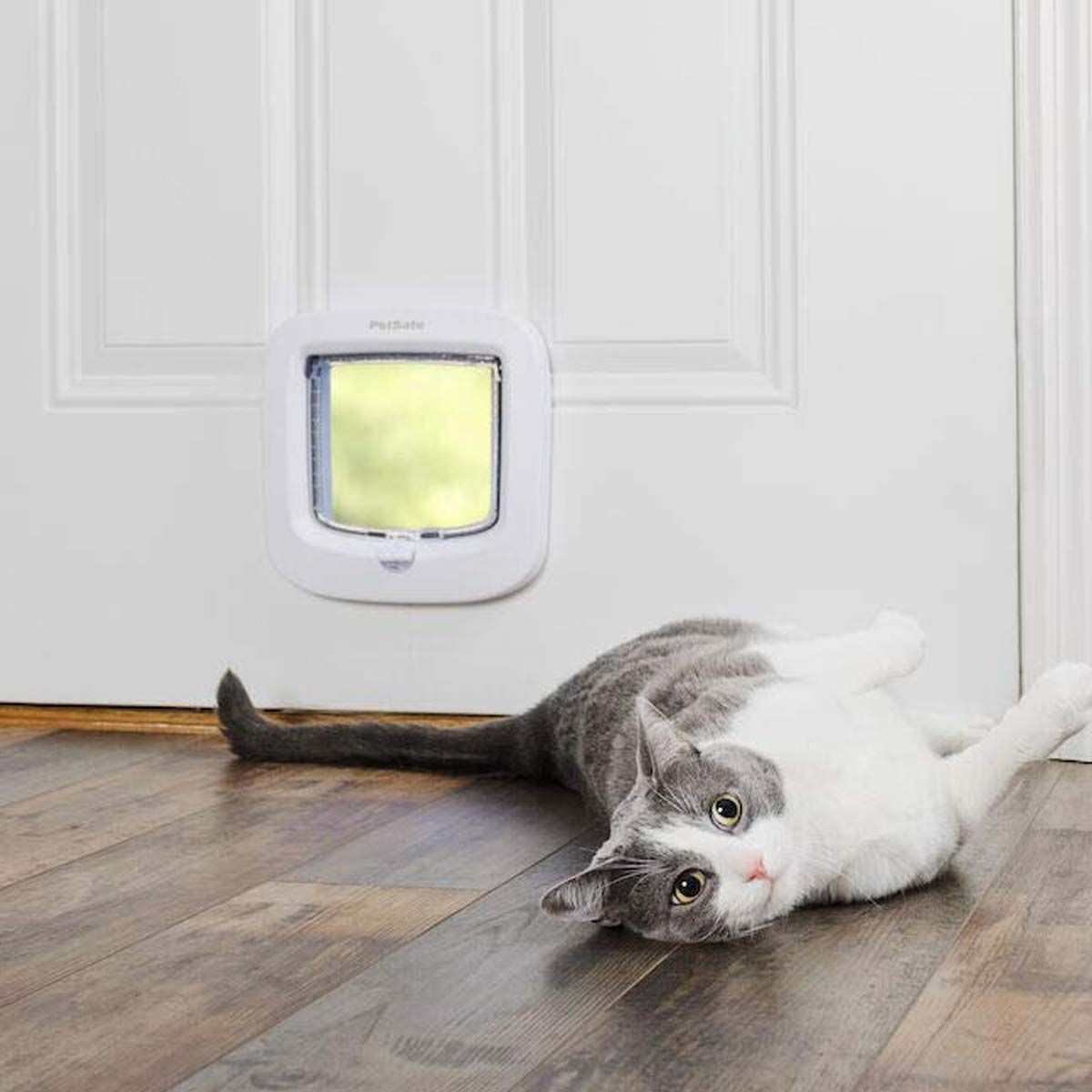 PetSafe Katzenklappe 4-Wege Staywell, weiß, für Katzen bis 8 kg, im Einsatz