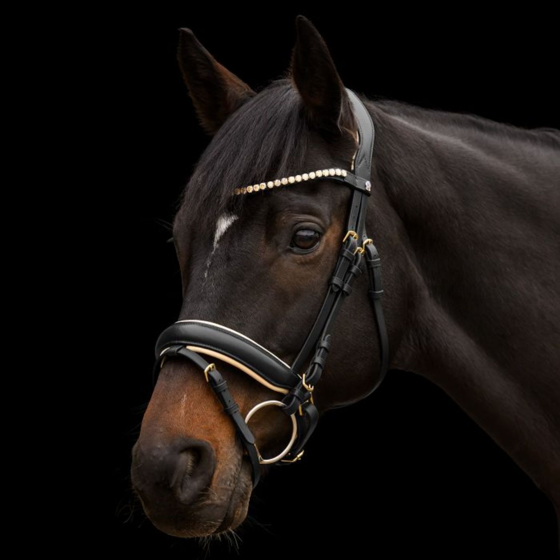 horse, bridle, headstall, reins, equestrian