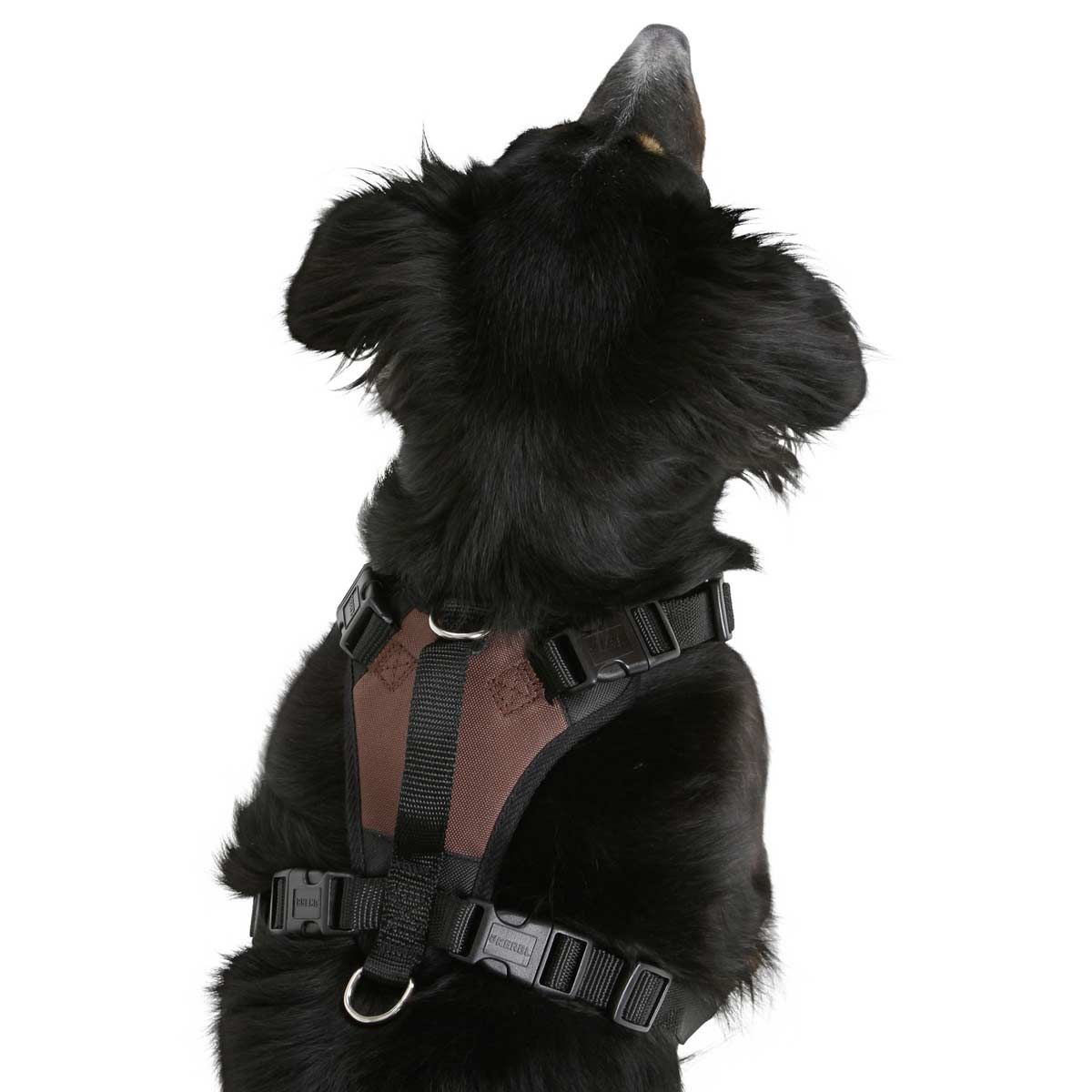 Harnais pour chien Kerbl PULSIVE, réglable, marron, M