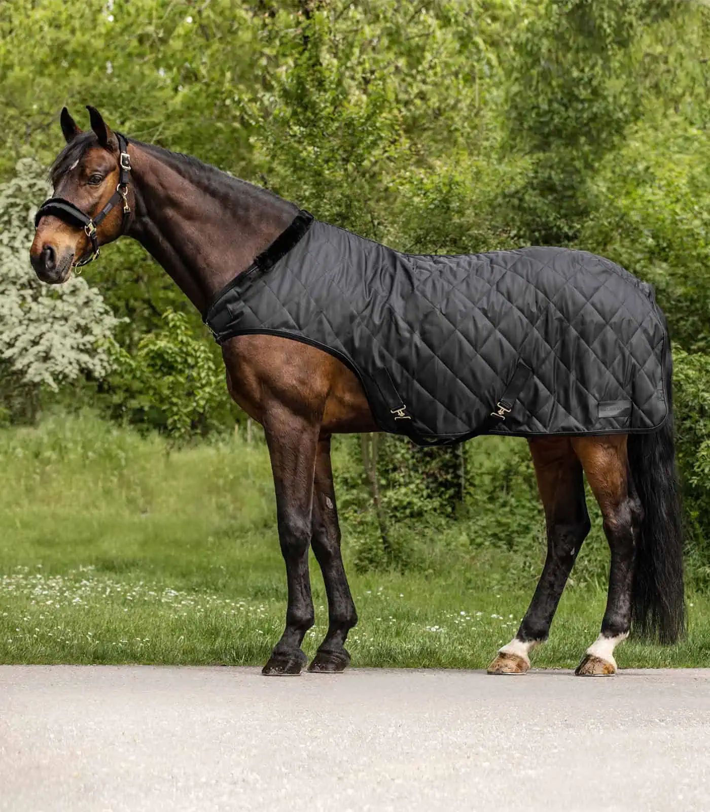 Waldhausen Couverture de manège Exclusive, fourrure synthétique, noir 145 cm