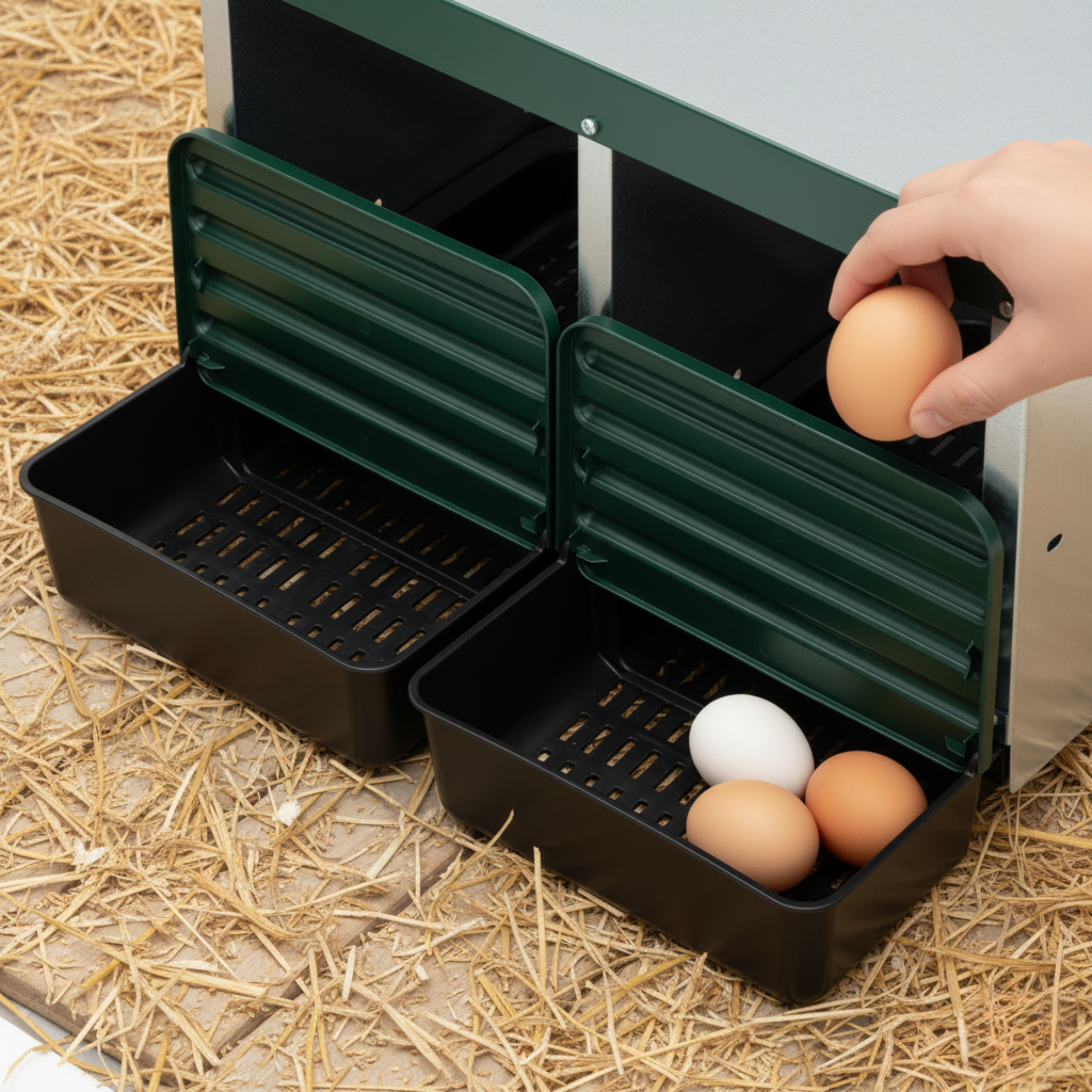 Pondoir pour Poules Agrarzone, Galvanisé avec Fond en Plastique, détail, dans la main