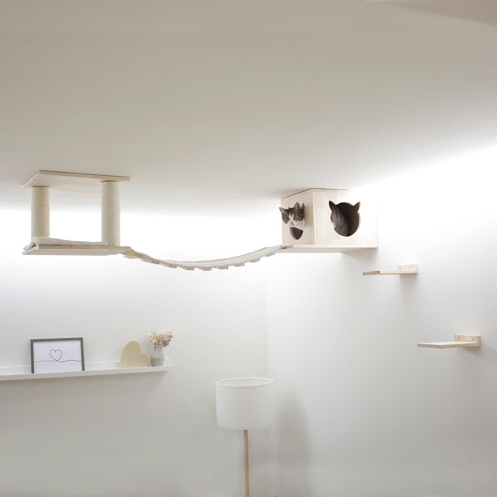 Mur d'escalade Terrain de jeu pour chats Top