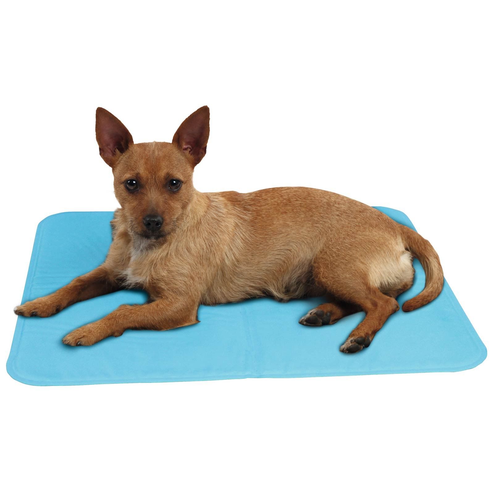 Kerbl Tapis de refroidissement pour chiens cool relax Pro 50 x 40 cm, en utilisation