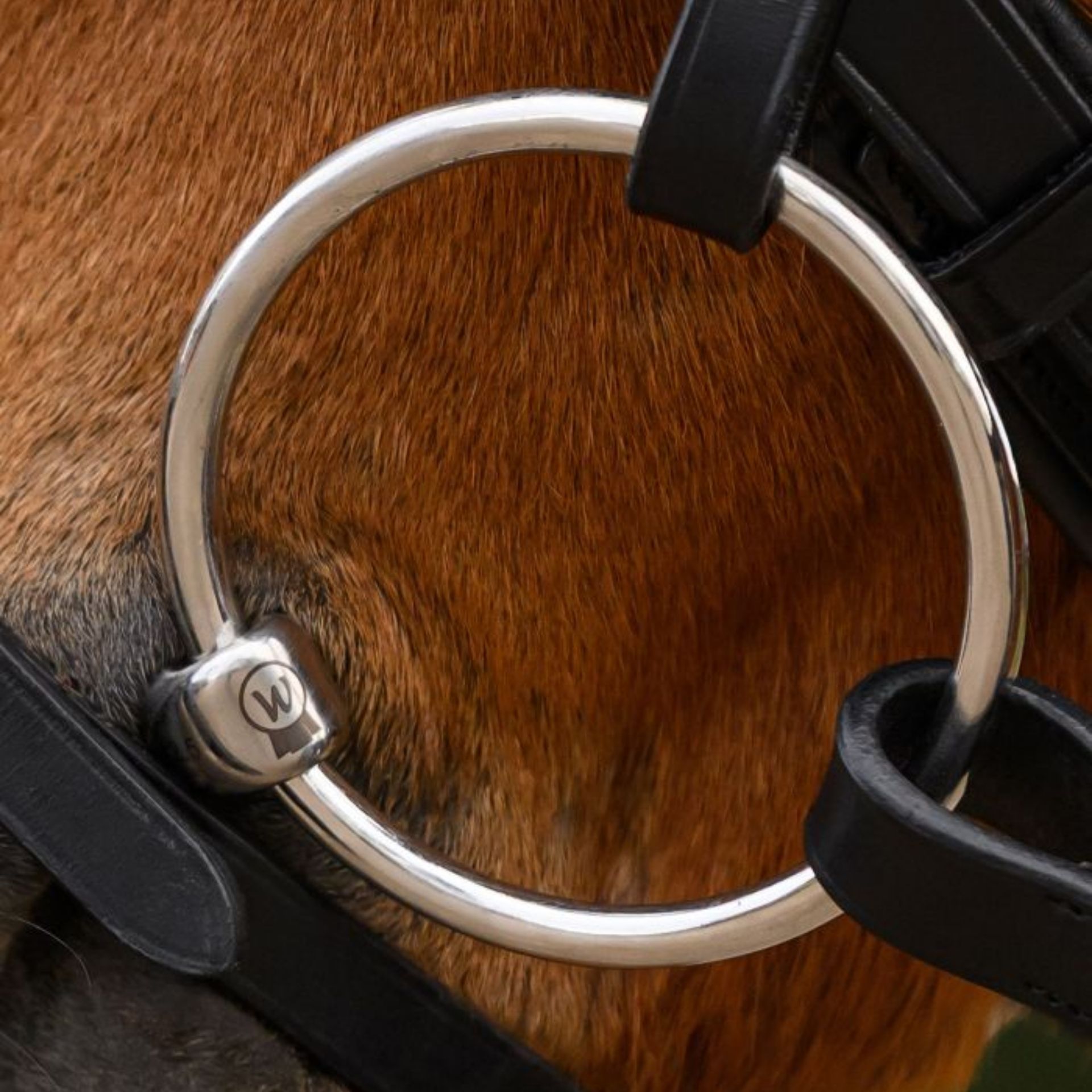horse, horsehair, metal ring, bit, bridle accessory