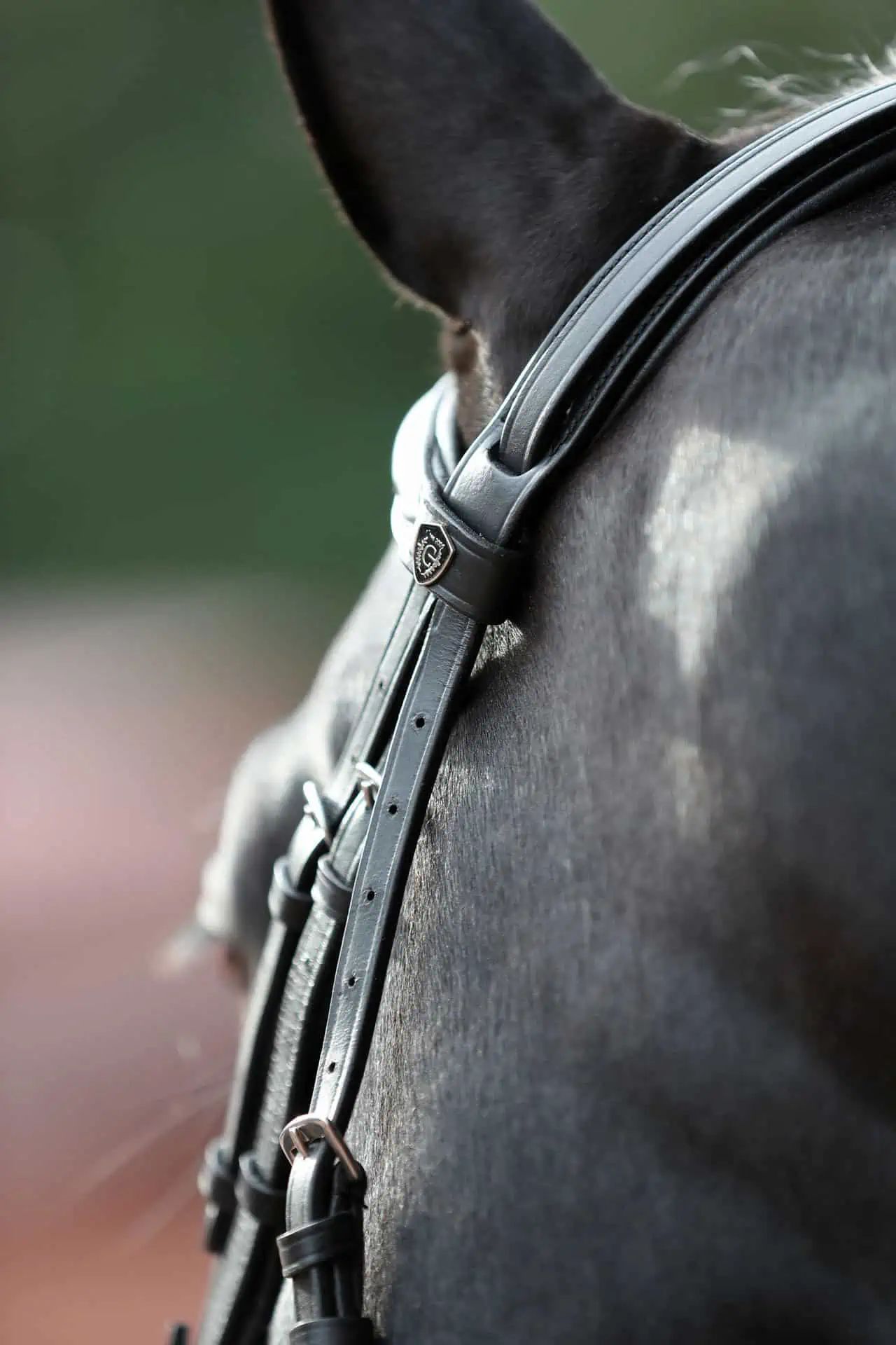 Bridon Cancun Covalliero, muserolle mexicaine, cuir noir, Pony