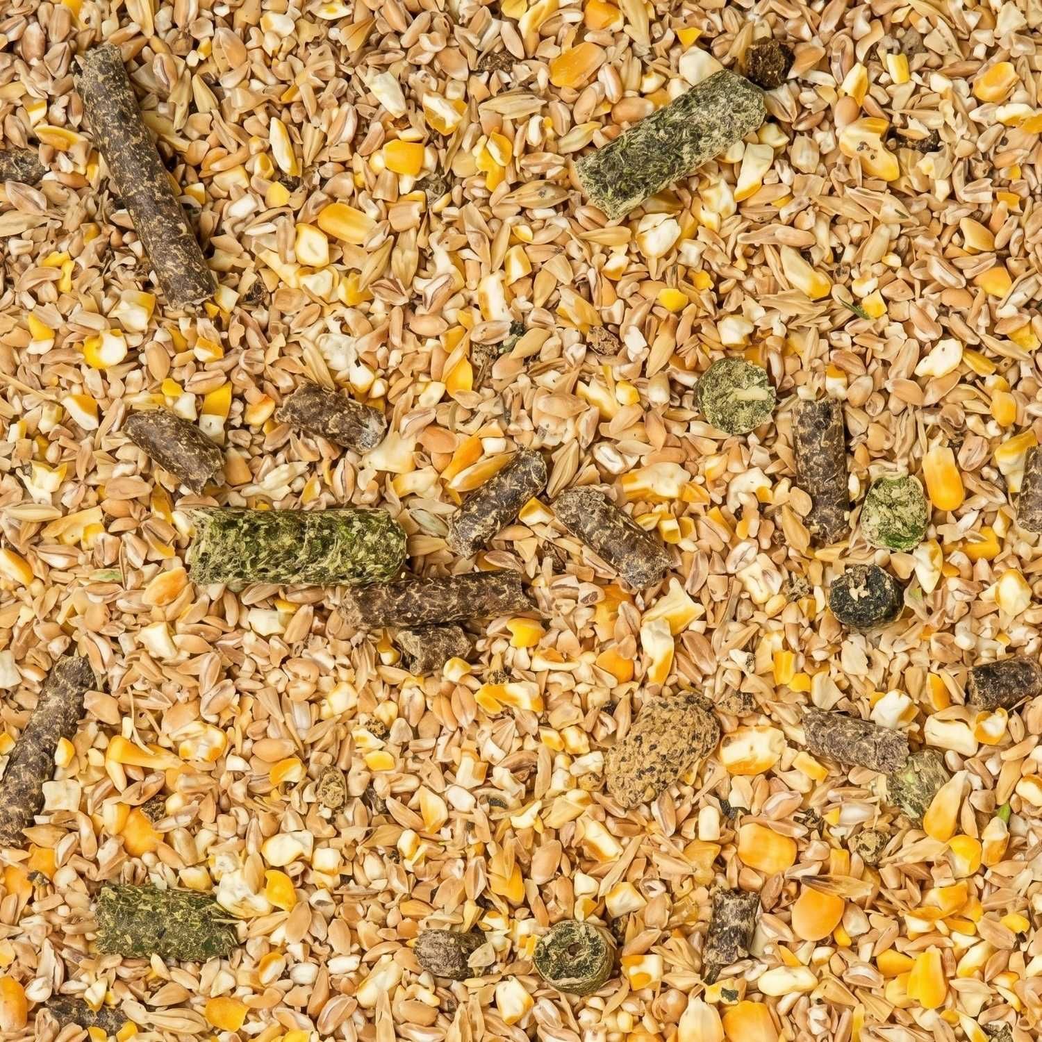 Közeli kép a juh- és kecskemüzliről kukoricával, durvára darált gabonával és lucernapellettel